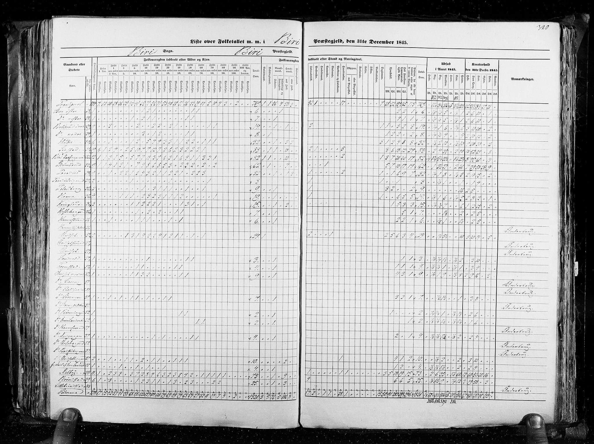 RA, Census 1845, vol. 3: Hedemarken amt og Kristians amt, 1845, p. 320