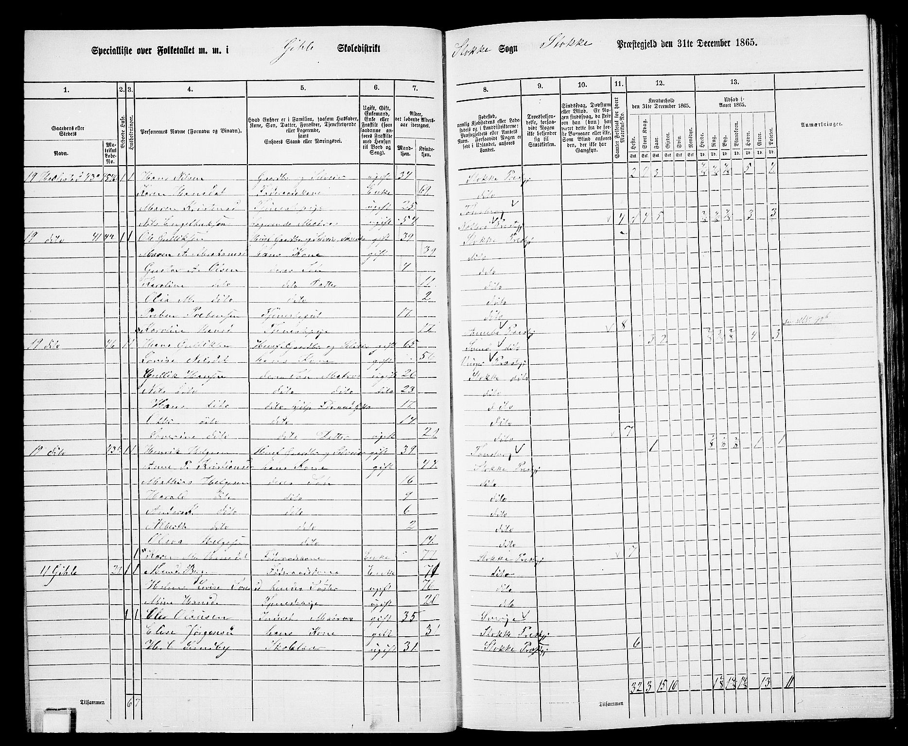 RA, 1865 census for Stokke, 1865, p. 34