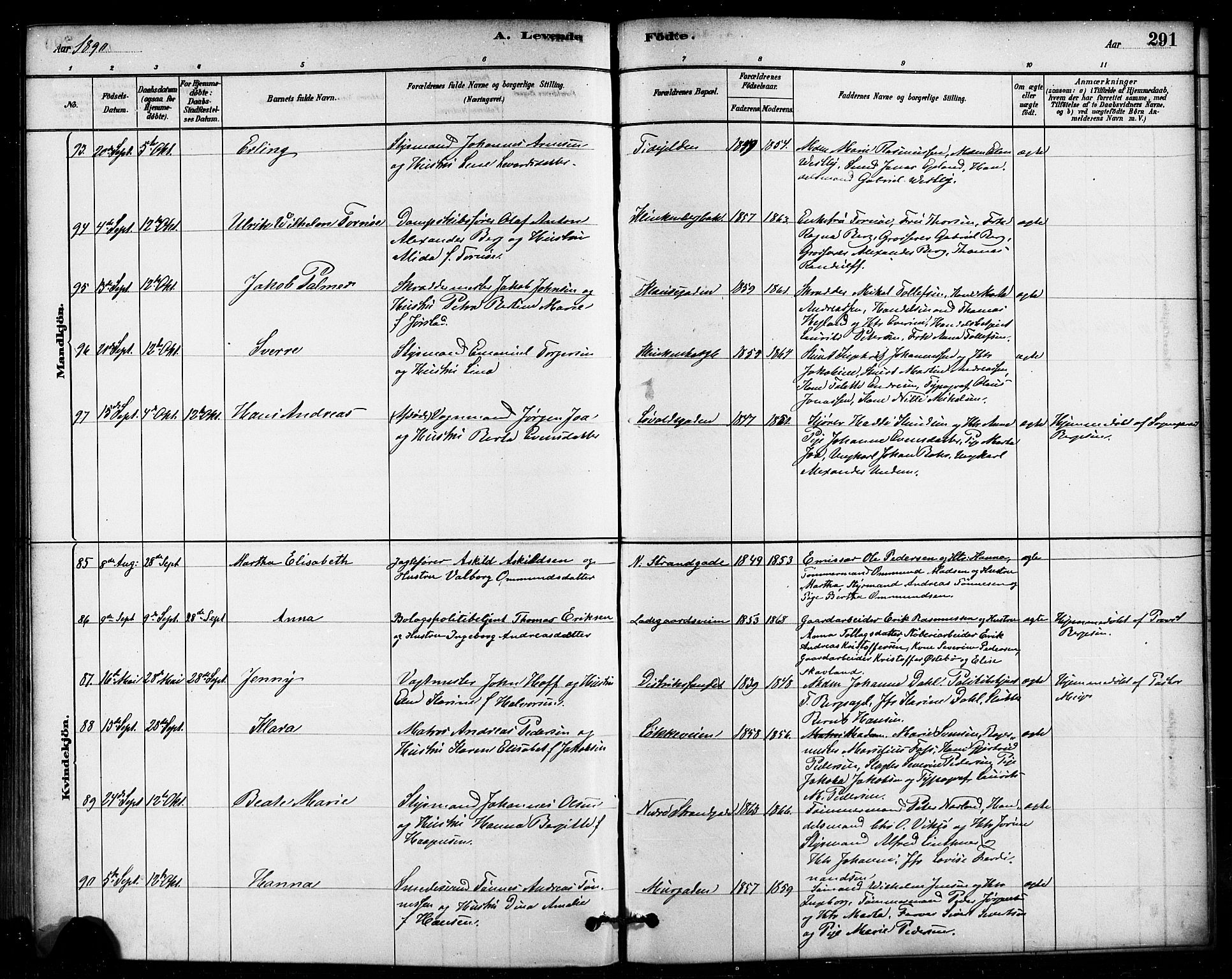 Domkirken sokneprestkontor, AV/SAST-A-101812/001/30/30BB/L0015: Parish register (copy) no. B 15, 1880-1891, p. 291