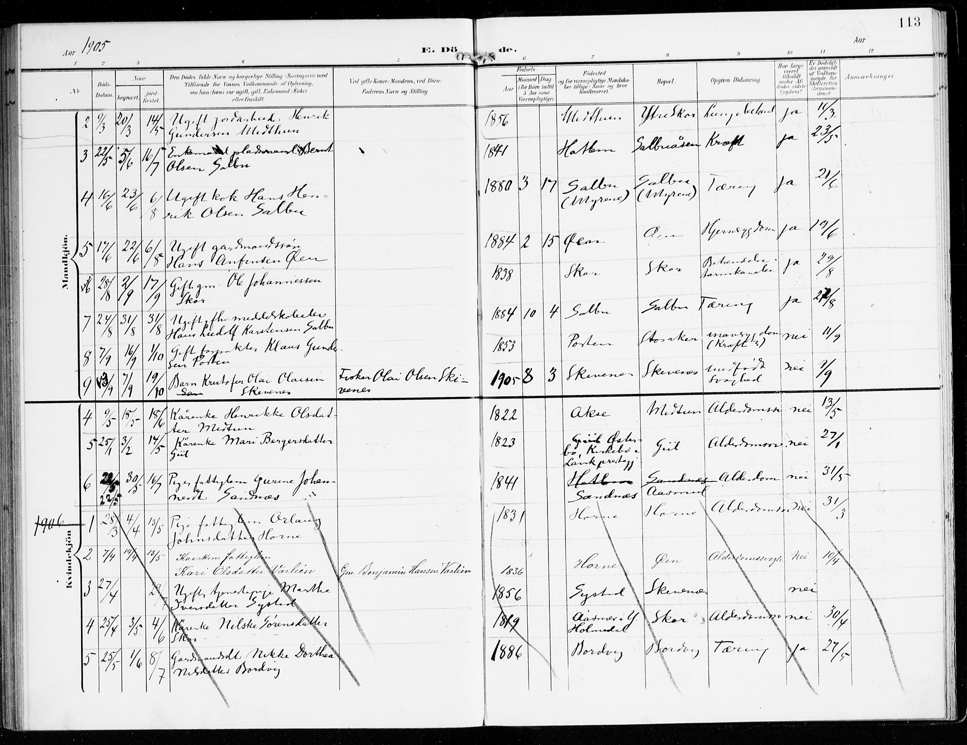 Hyllestad sokneprestembete, SAB/A-80401: Parish register (official) no. D 2, 1905-1919, p. 113