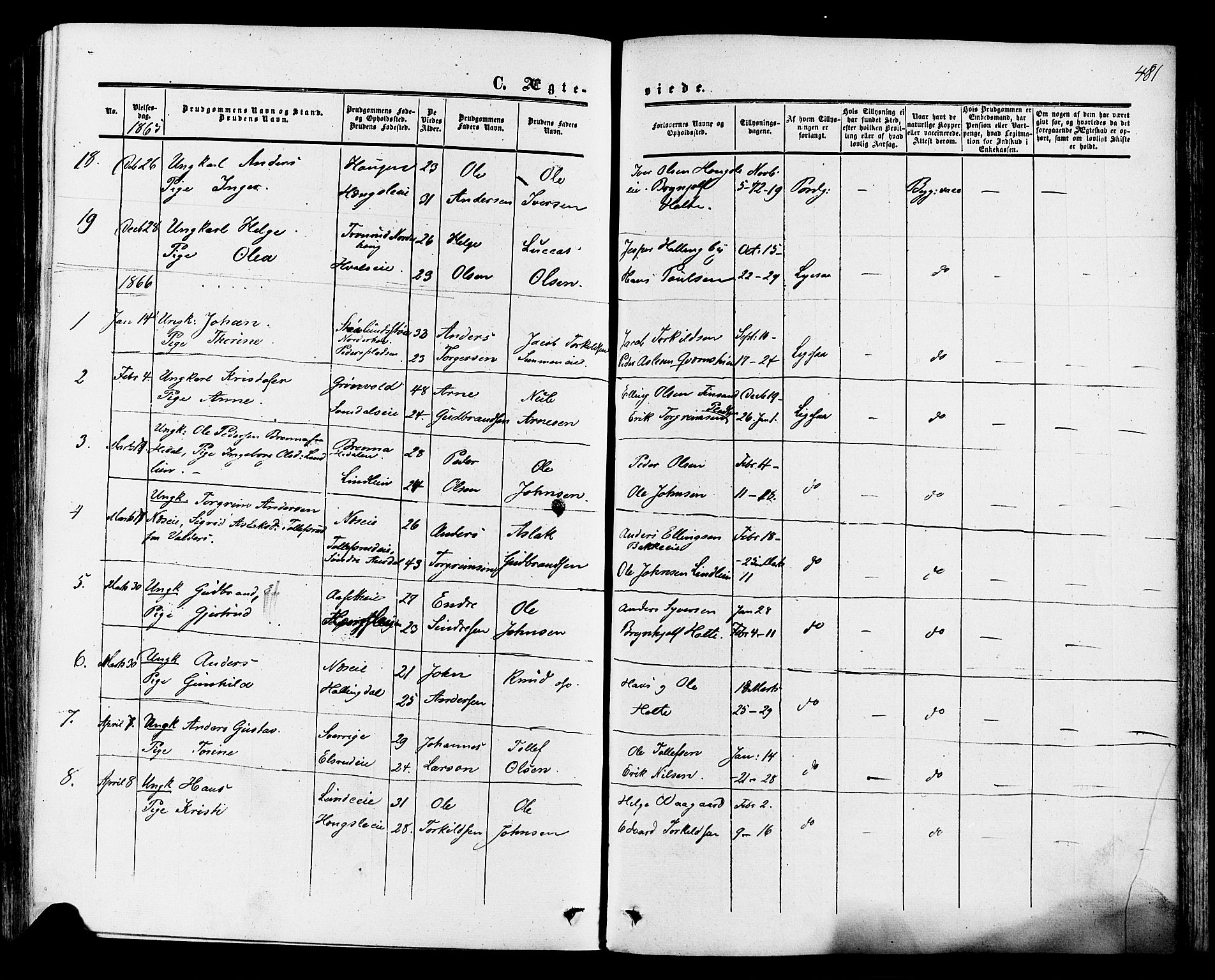 Ådal kirkebøker, AV/SAKO-A-248/F/Fa/L0001: Parish register (official) no. I 1, 1857-1883, p. 481