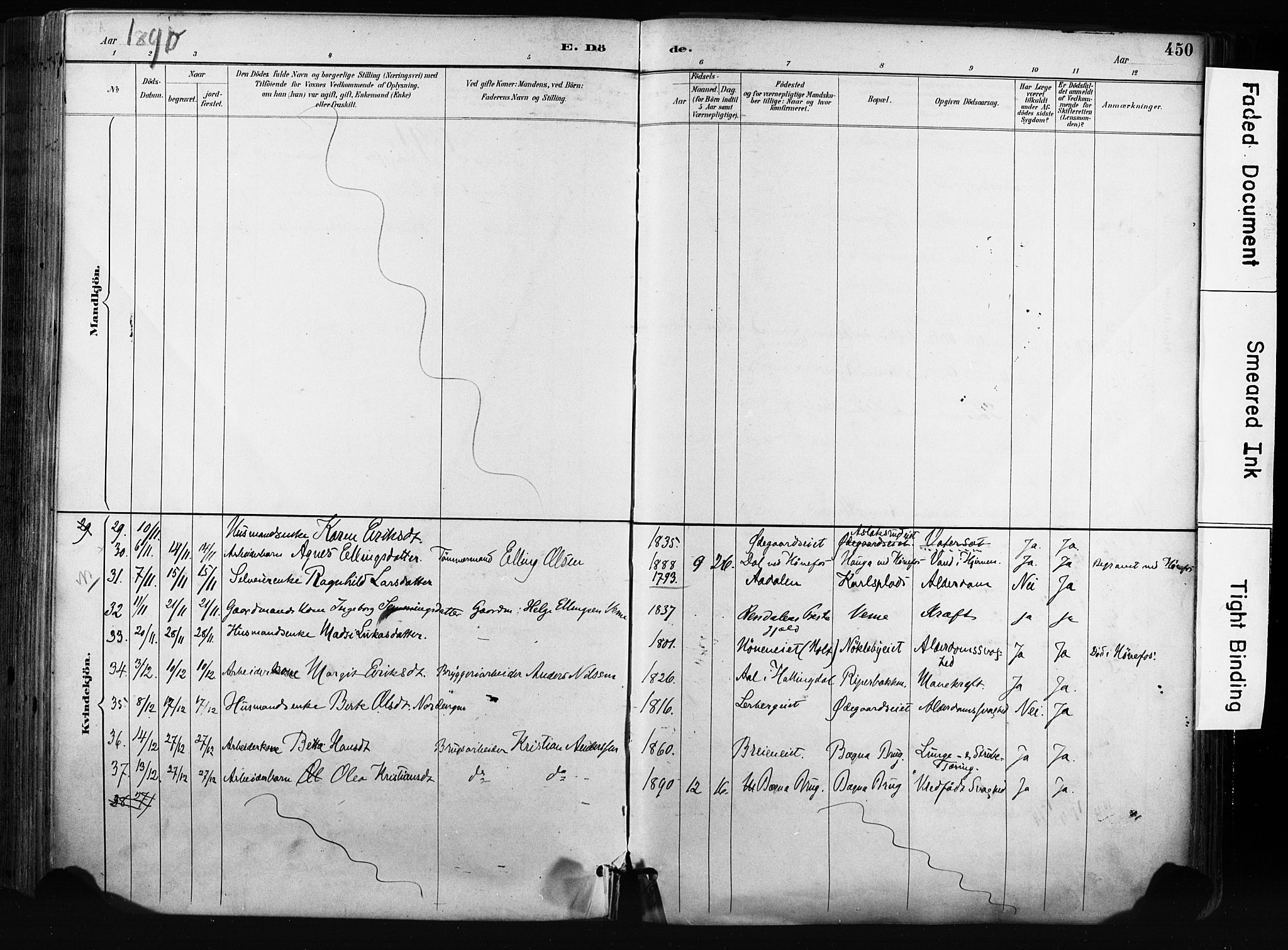 Norderhov kirkebøker, AV/SAKO-A-237/F/Fa/L0016: Parish register (official) no. 16, 1885-1902, p. 450