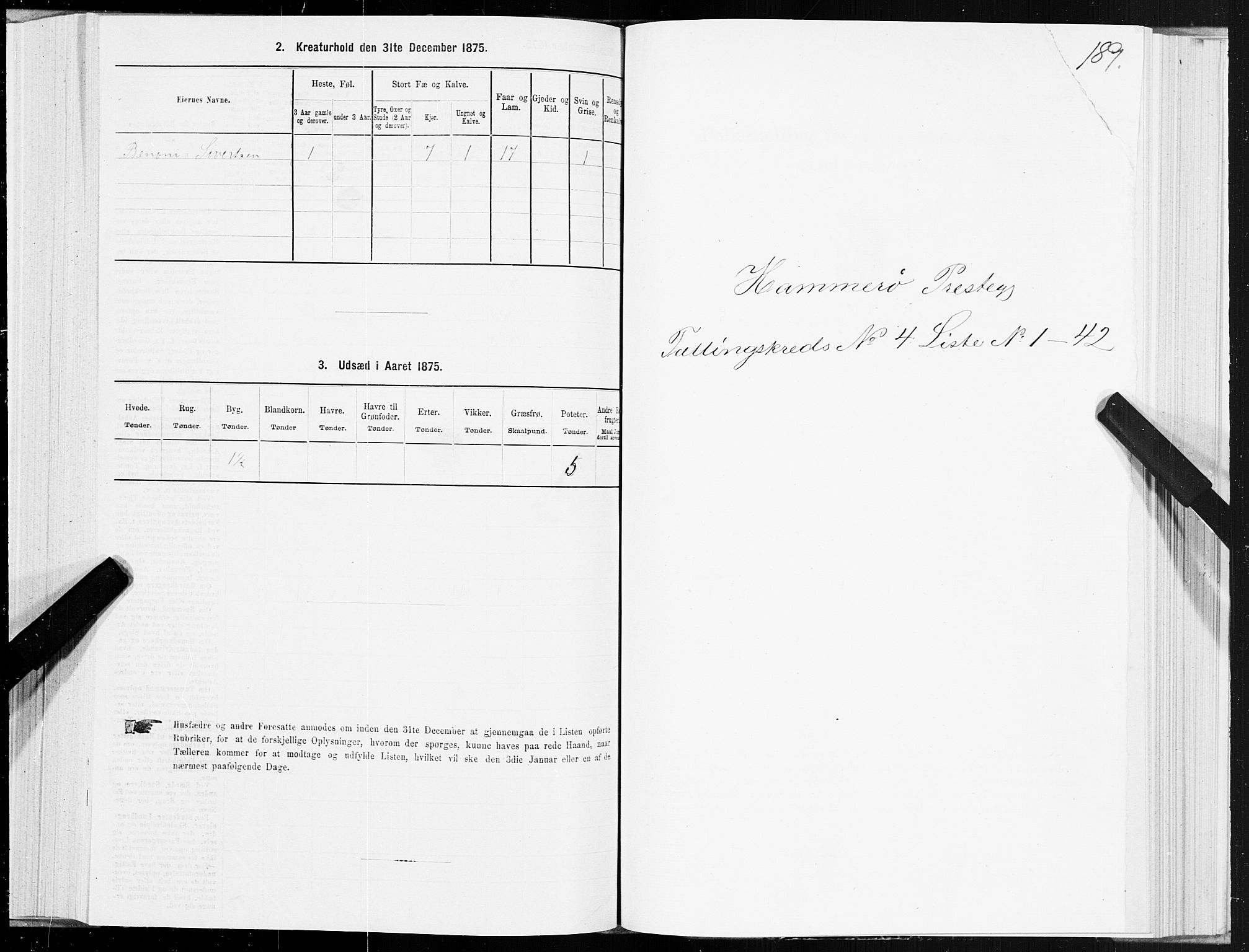 SAT, 1875 census for 1849P Hamarøy, 1875, p. 2189