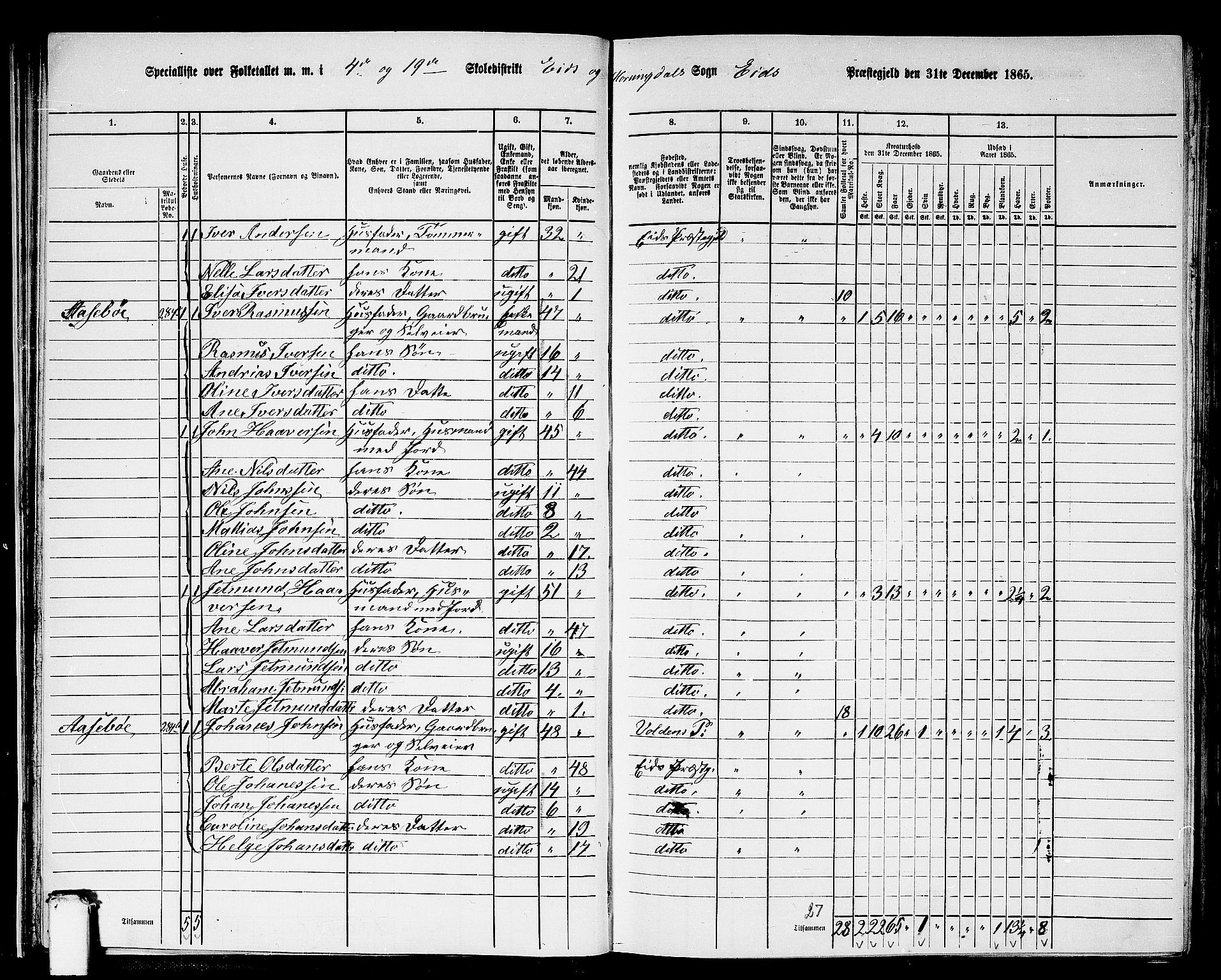 RA, 1865 census for Eid, 1865, p. 31