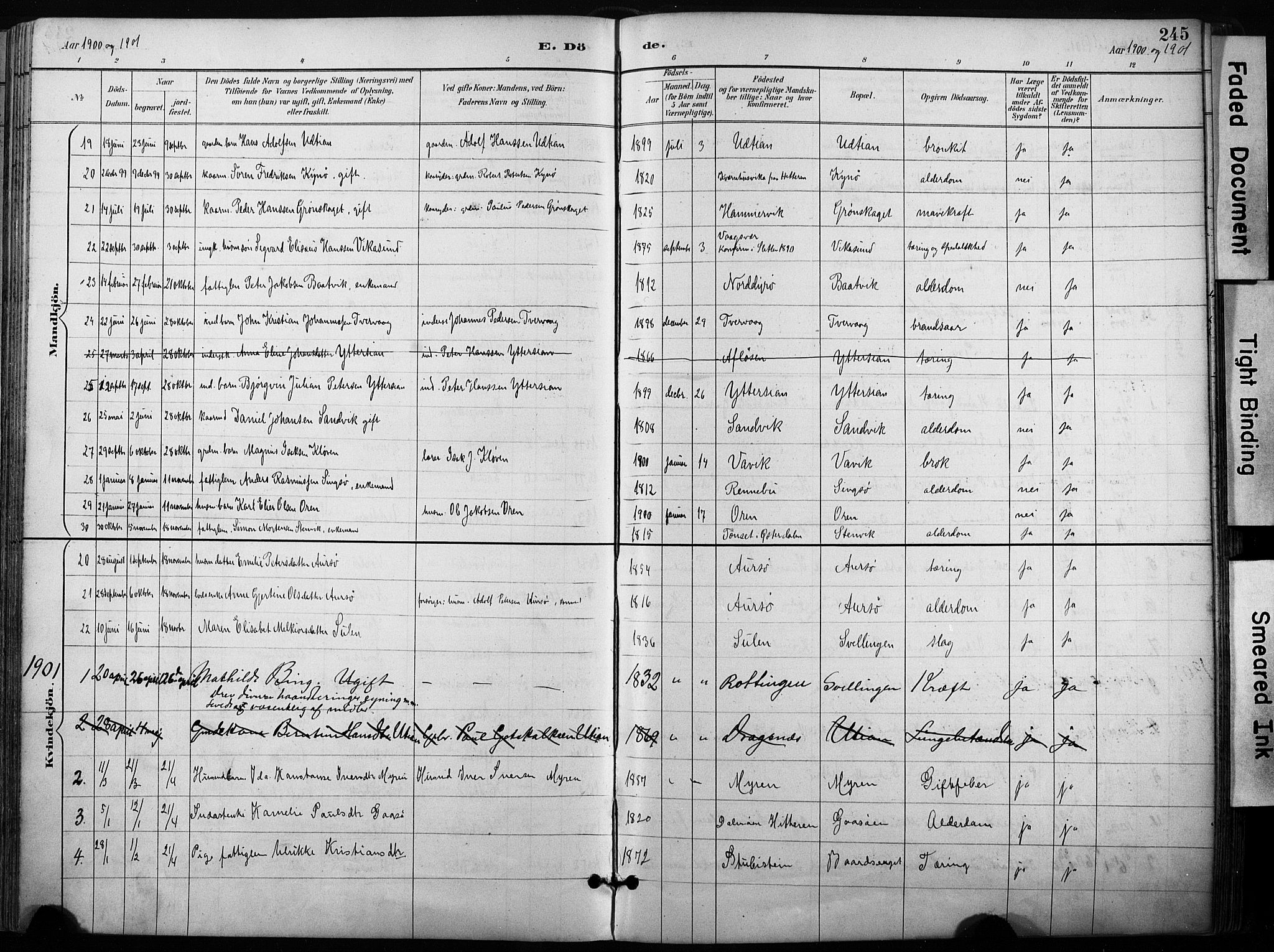 Ministerialprotokoller, klokkerbøker og fødselsregistre - Sør-Trøndelag, SAT/A-1456/640/L0579: Parish register (official) no. 640A04, 1889-1902, p. 245