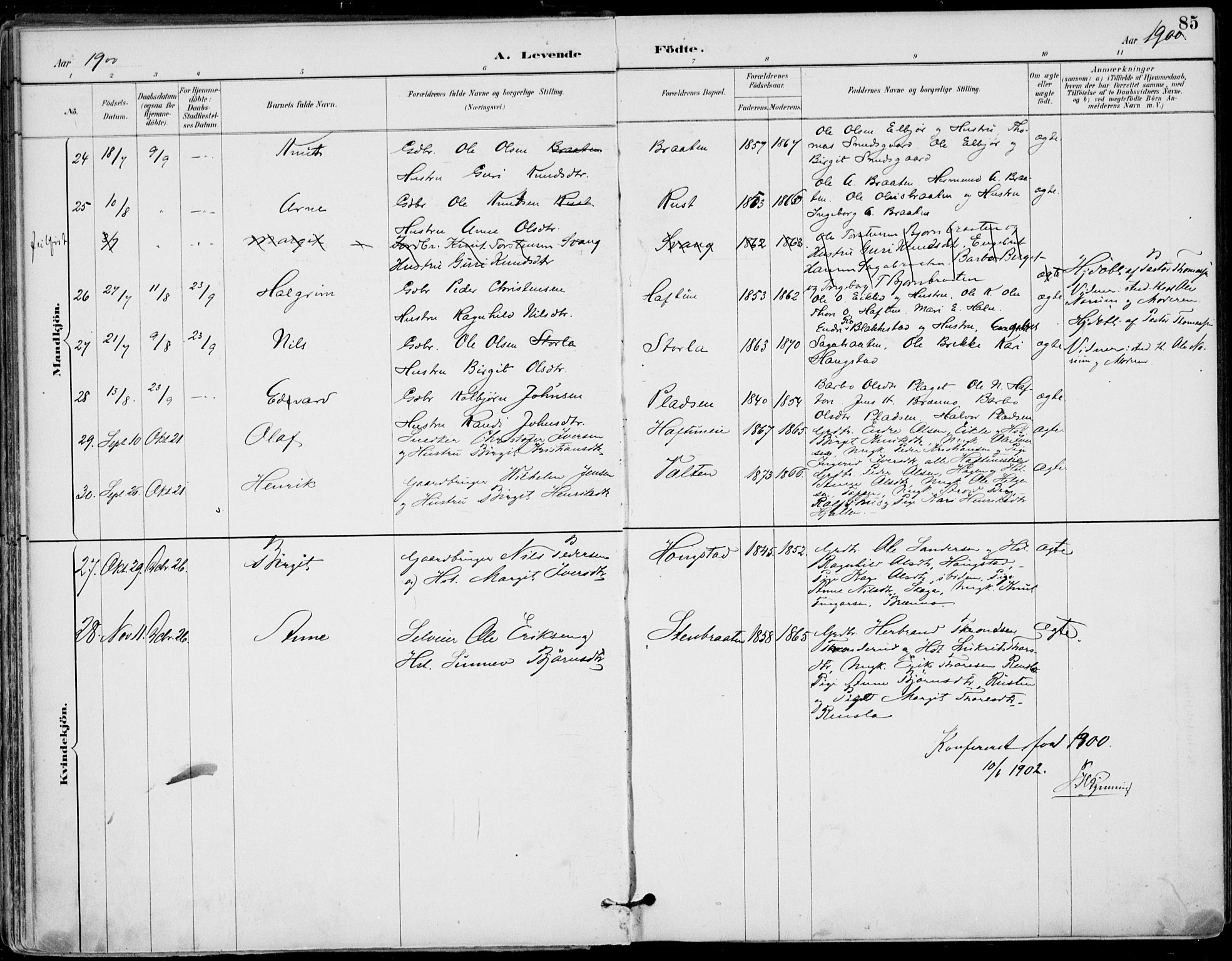 Gol kirkebøker, AV/SAKO-A-226/F/Fa/L0005: Parish register (official) no. I 5, 1887-1900, p. 85