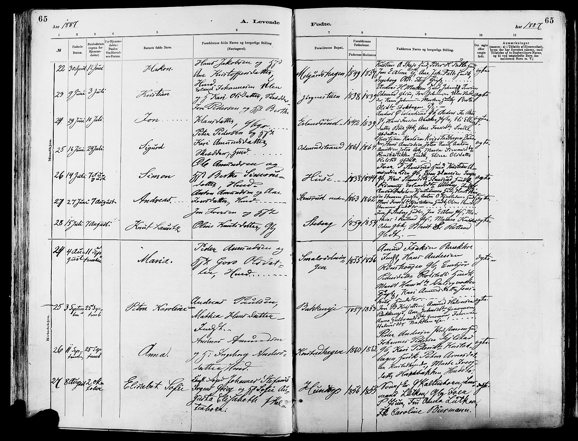 Sør-Fron prestekontor, AV/SAH-PREST-010/H/Ha/Haa/L0003: Parish register (official) no. 3, 1881-1897, p. 65