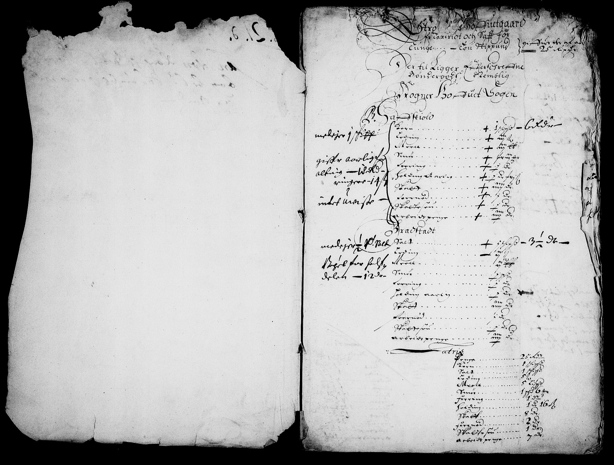 Rentekammeret inntil 1814, Realistisk ordnet avdeling, AV/RA-EA-4070/On/L0008: [Jj 9]: Jordebøker innlevert til kongelig kommisjon 1672: Hammar, Osgård, Sem med Skjelbred, Fossesholm, Fiskum og Ulland (1669-1672), Strøm (1658-u.d. og 1672-73) samt Svanøy gods i Sunnfjord (1657)., 1672, p. 215