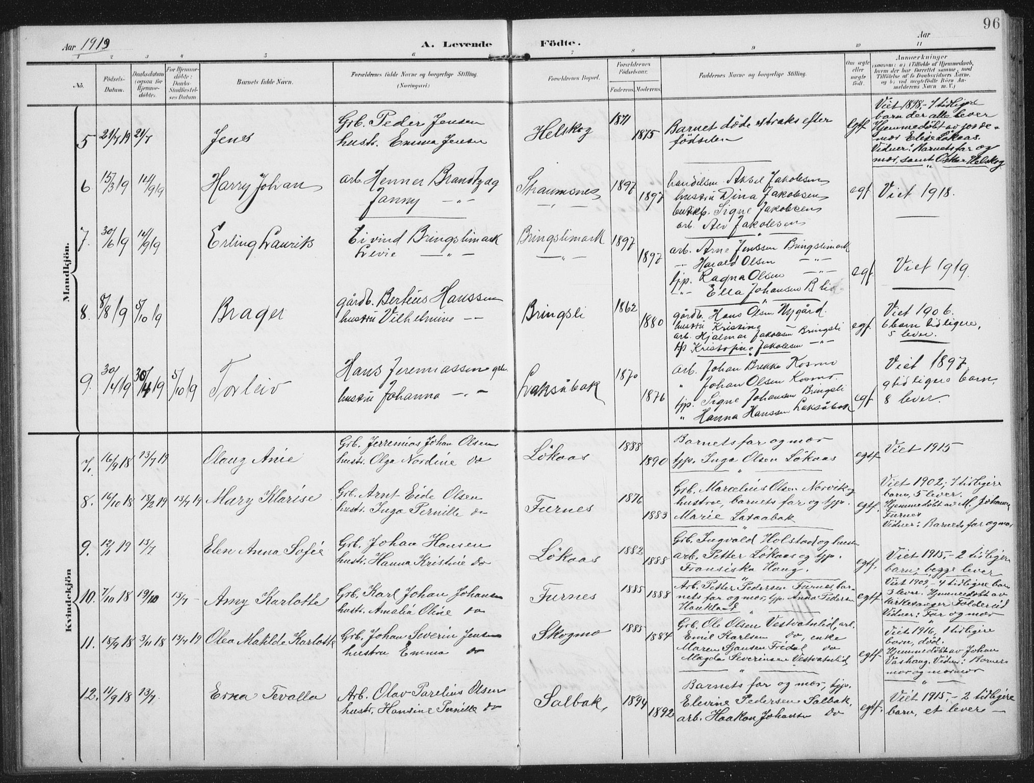 Ministerialprotokoller, klokkerbøker og fødselsregistre - Nordland, AV/SAT-A-1459/851/L0726: Parish register (copy) no. 851C01, 1902-1924, p. 96