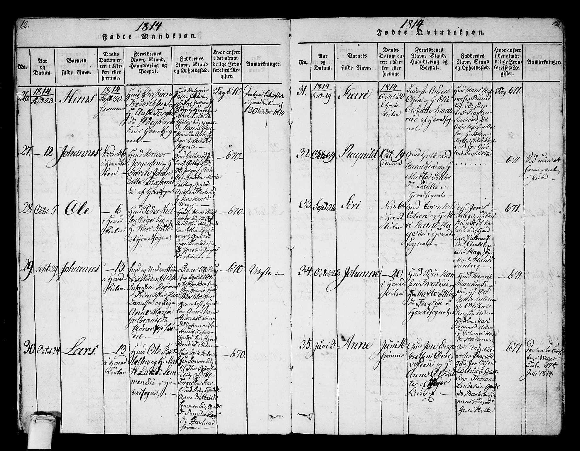 Norderhov kirkebøker, AV/SAKO-A-237/F/Fa/L0008: Parish register (official) no. 8, 1814-1833, p. 12-13