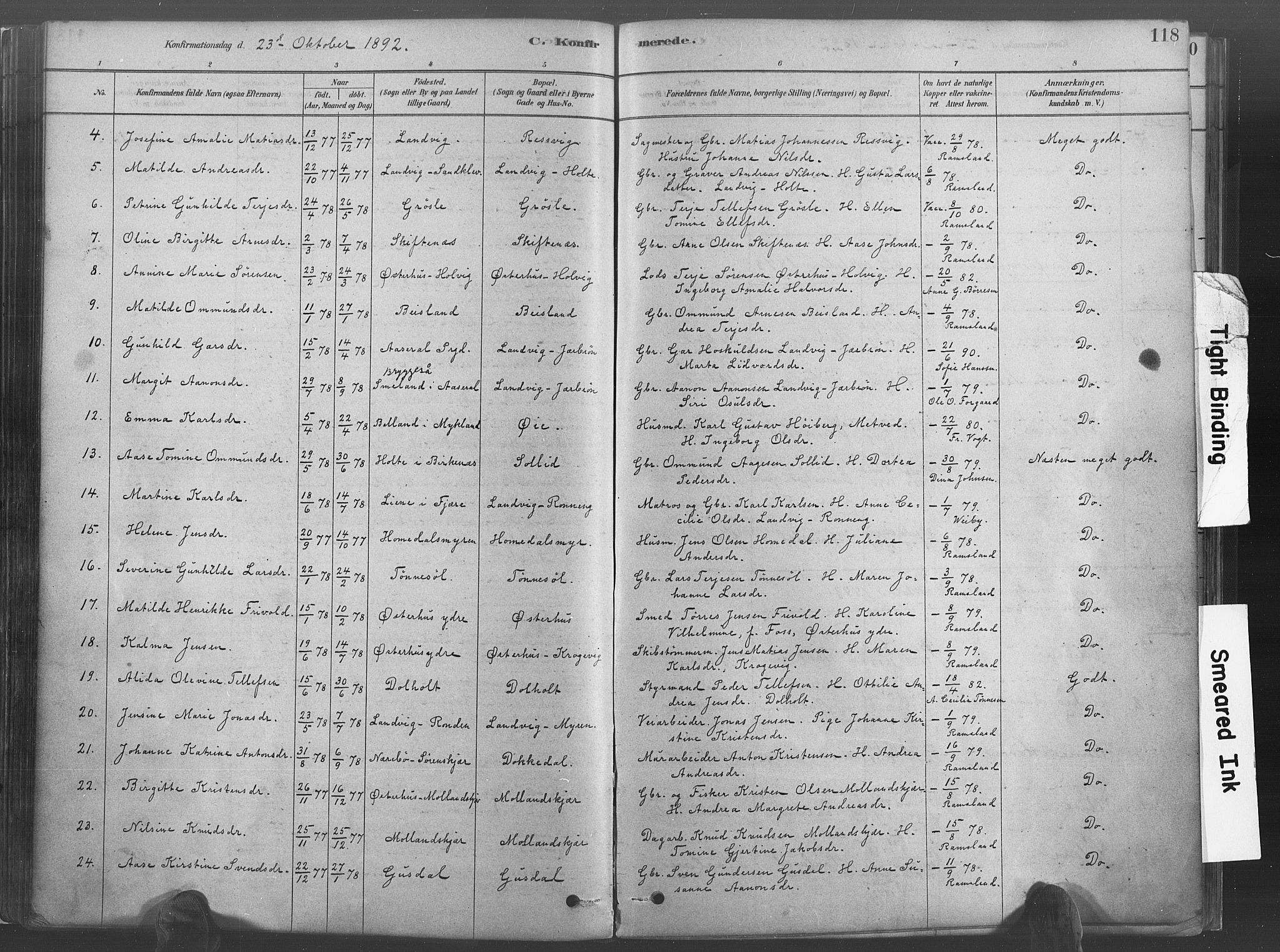 Hommedal sokneprestkontor, AV/SAK-1111-0023/F/Fa/Fab/L0006: Parish register (official) no. A 6, 1878-1897, p. 118