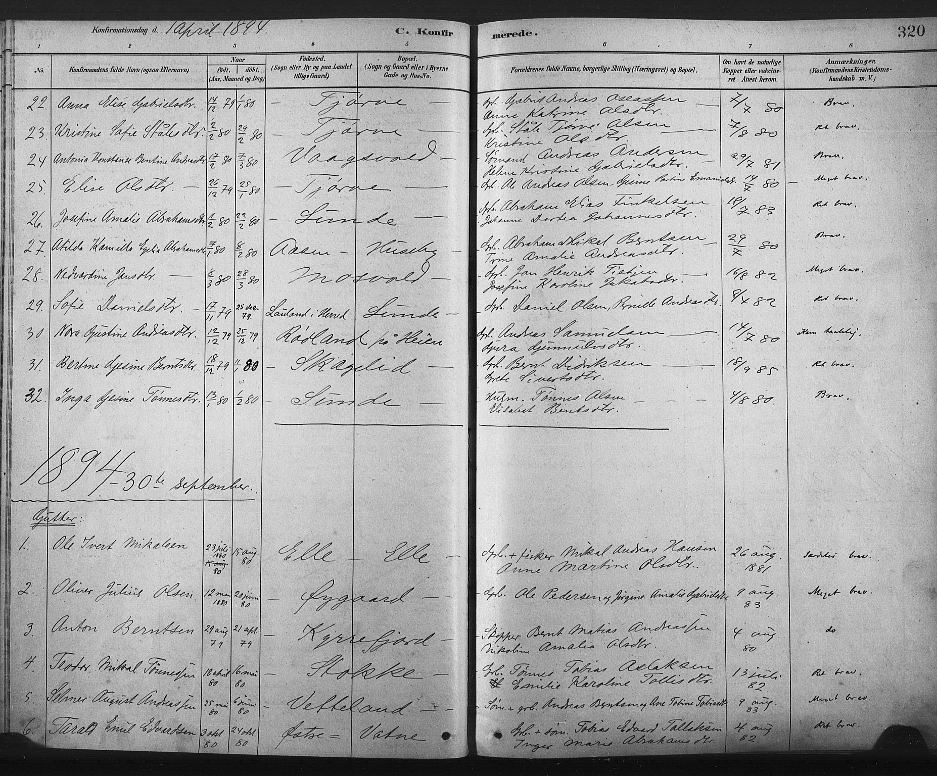 Lista sokneprestkontor, AV/SAK-1111-0027/F/Fa/L0012: Parish register (official) no. A 12, 1879-1903, p. 320