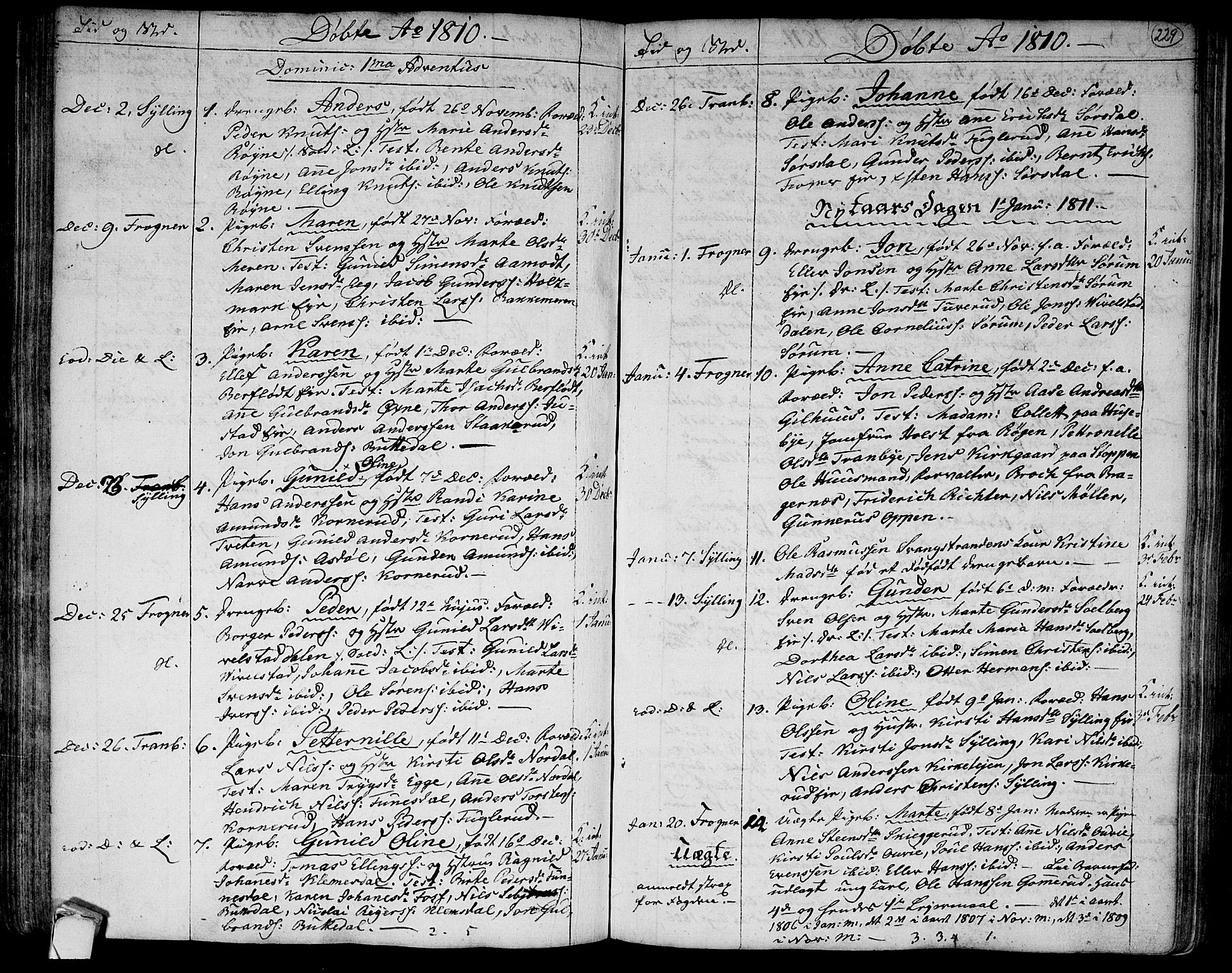 Lier kirkebøker, SAKO/A-230/F/Fa/L0007: Parish register (official) no. I 7, 1794-1813, p. 229