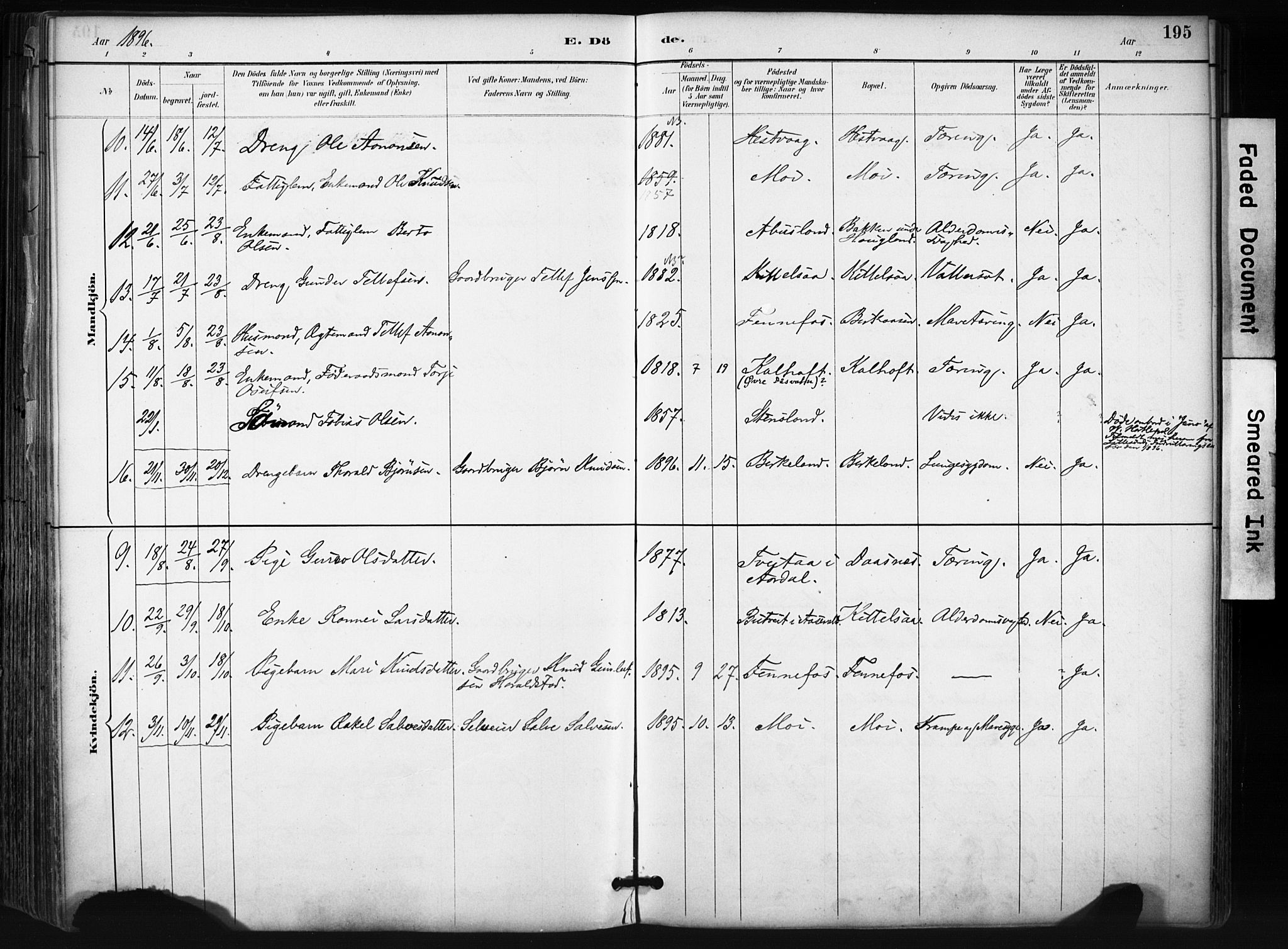 Evje sokneprestkontor, SAK/1111-0008/F/Fa/Fab/L0003: Parish register (official) no. A 3, 1884-1909, p. 195