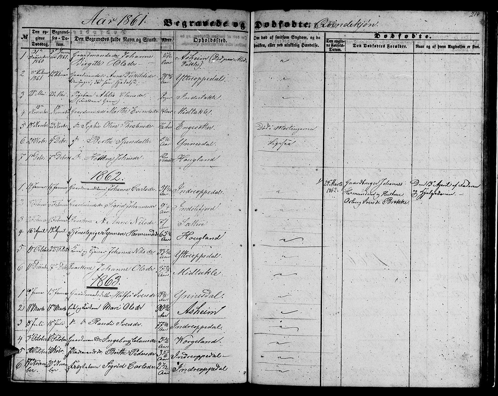 Gulen sokneprestembete, SAB/A-80201/H/Hab/Habc/L0001: Parish register (copy) no. C 1, 1853-1880, p. 214