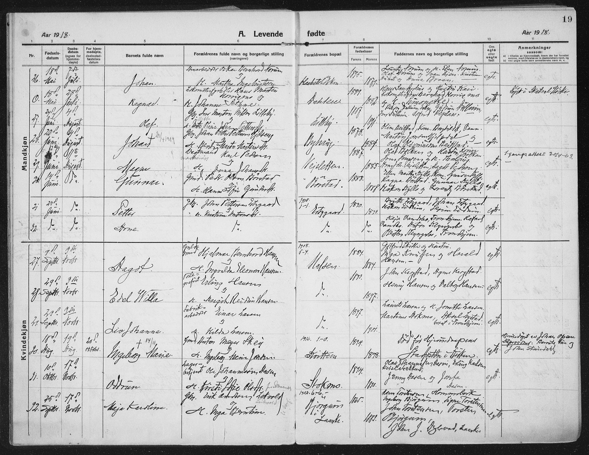 Ministerialprotokoller, klokkerbøker og fødselsregistre - Nord-Trøndelag, AV/SAT-A-1458/709/L0083: Parish register (official) no. 709A23, 1916-1928, p. 19