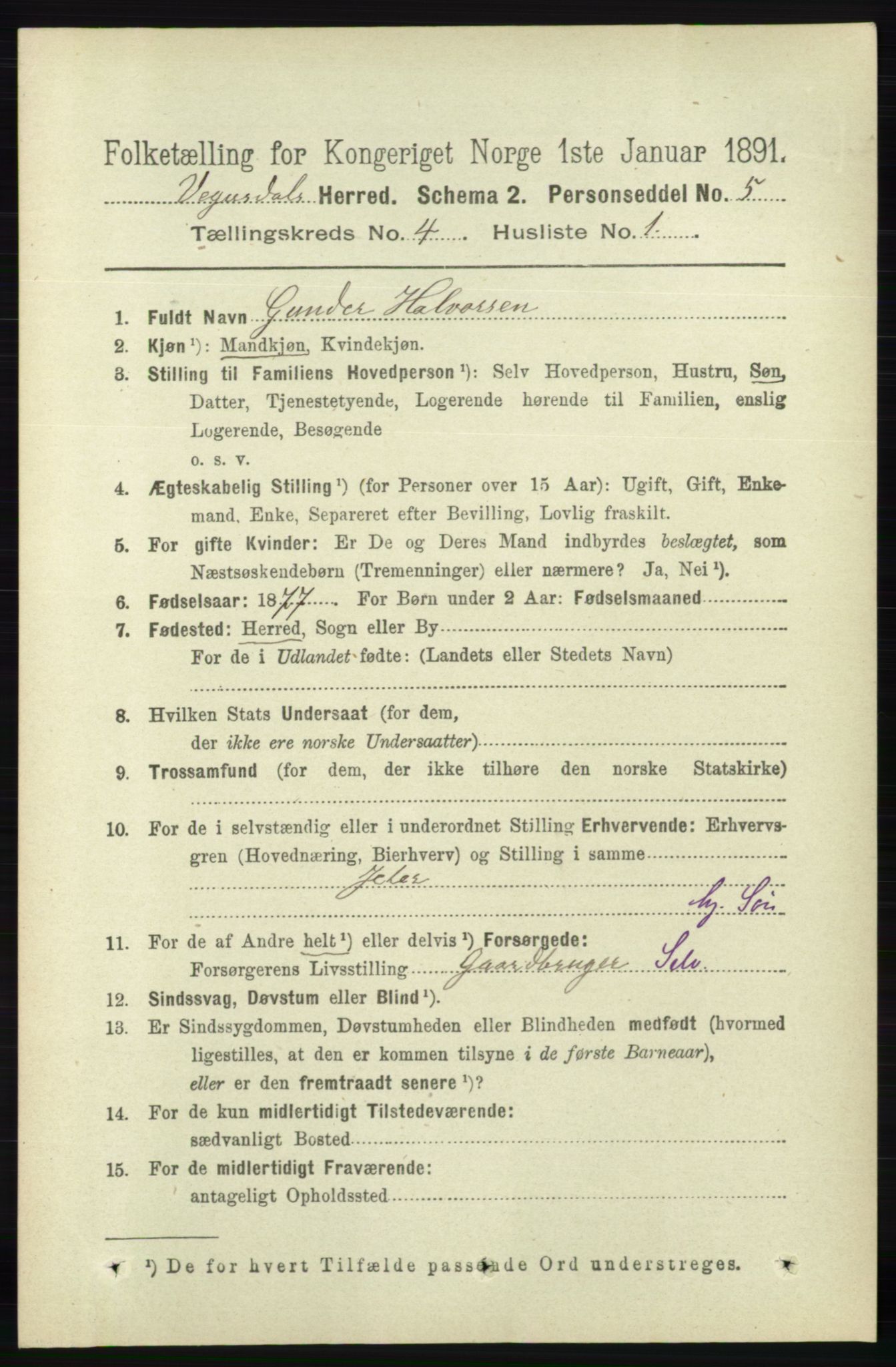 RA, 1891 census for 0934 Vegusdal, 1891, p. 715