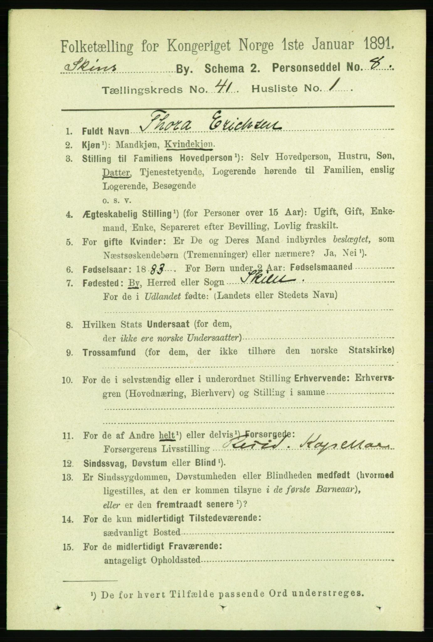 RA, 1891 census for 0806 Skien, 1891, p. 8448