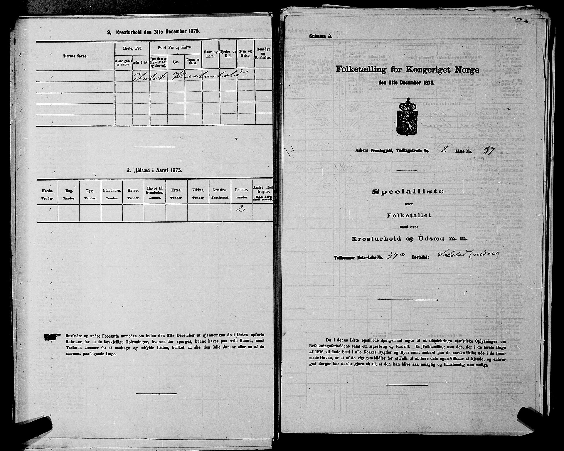 RA, 1875 census for 0220P Asker, 1875, p. 423