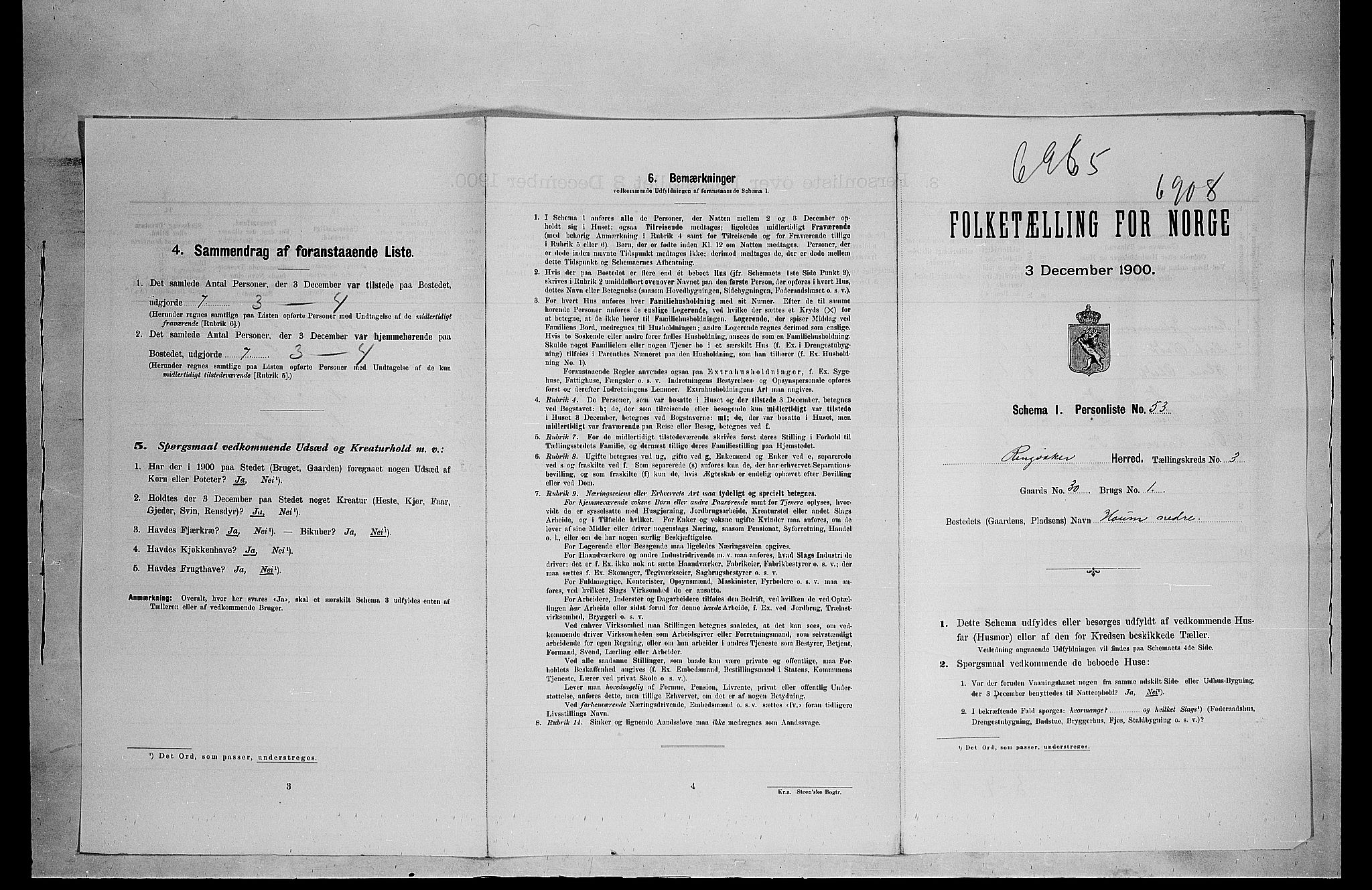 SAH, 1900 census for Ringsaker, 1900, p. 161