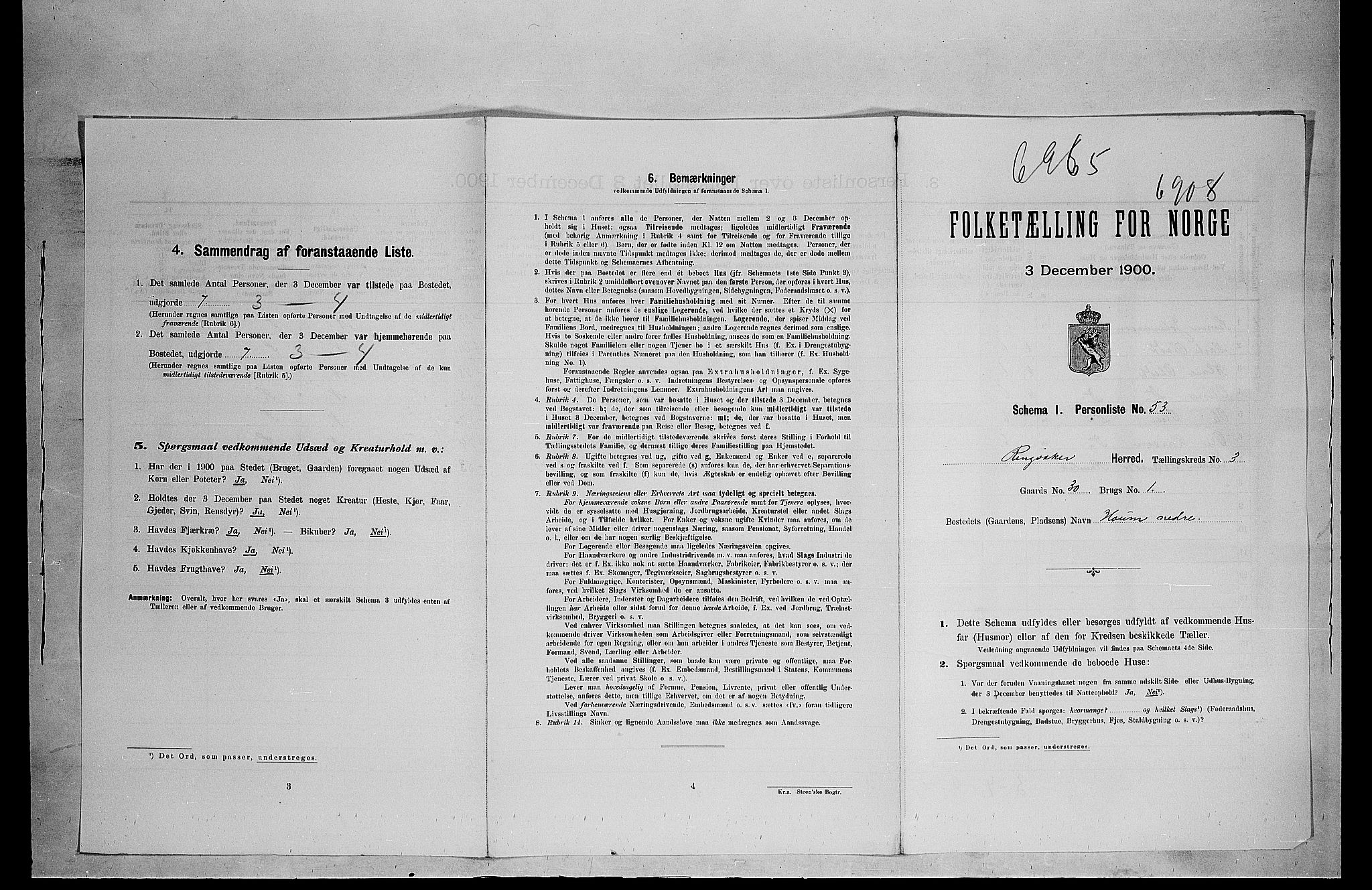 SAH, 1900 census for Ringsaker, 1900, p. 161