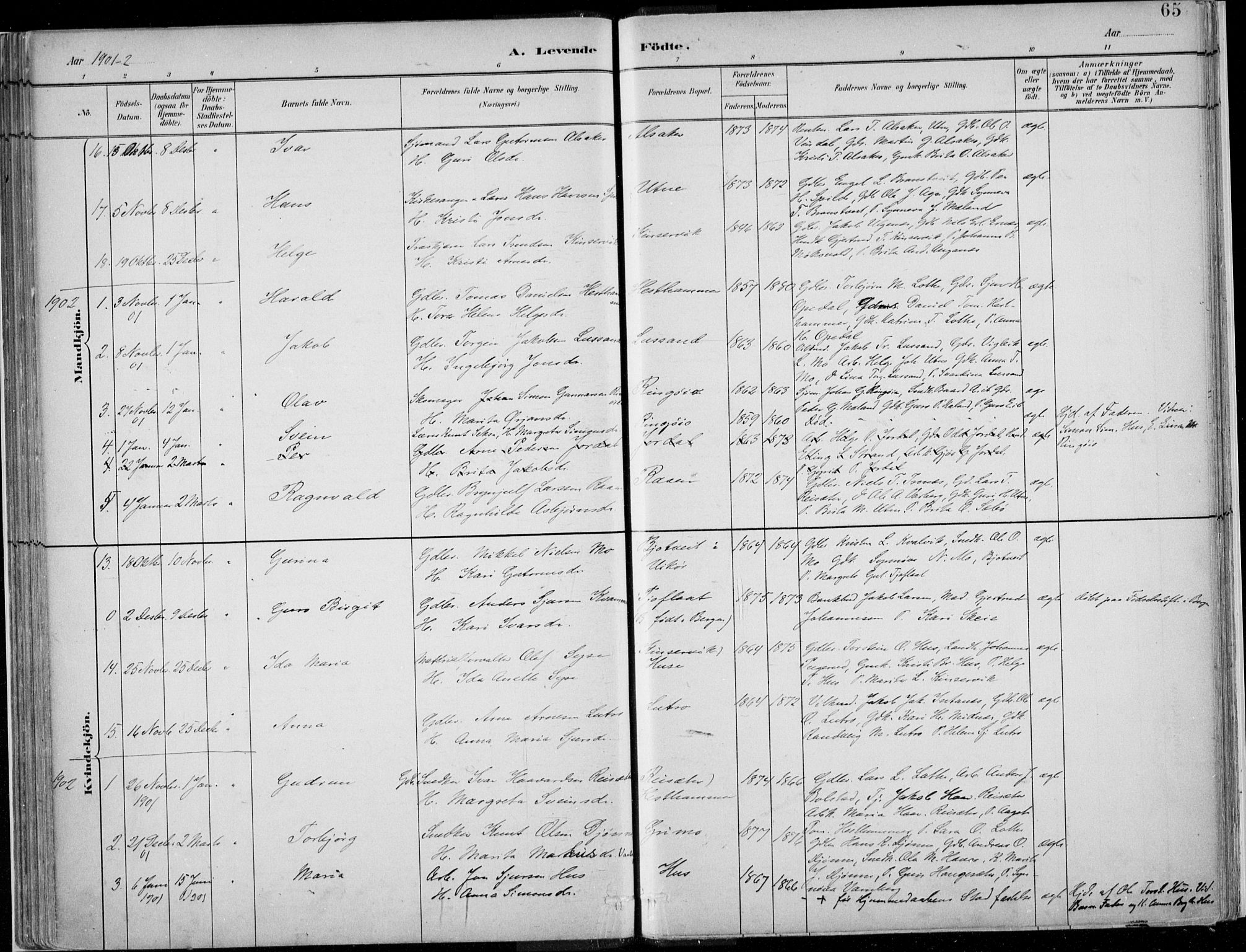Ullensvang sokneprestembete, SAB/A-78701/H/Haa: Parish register (official) no. E  1, 1882-1921, p. 65