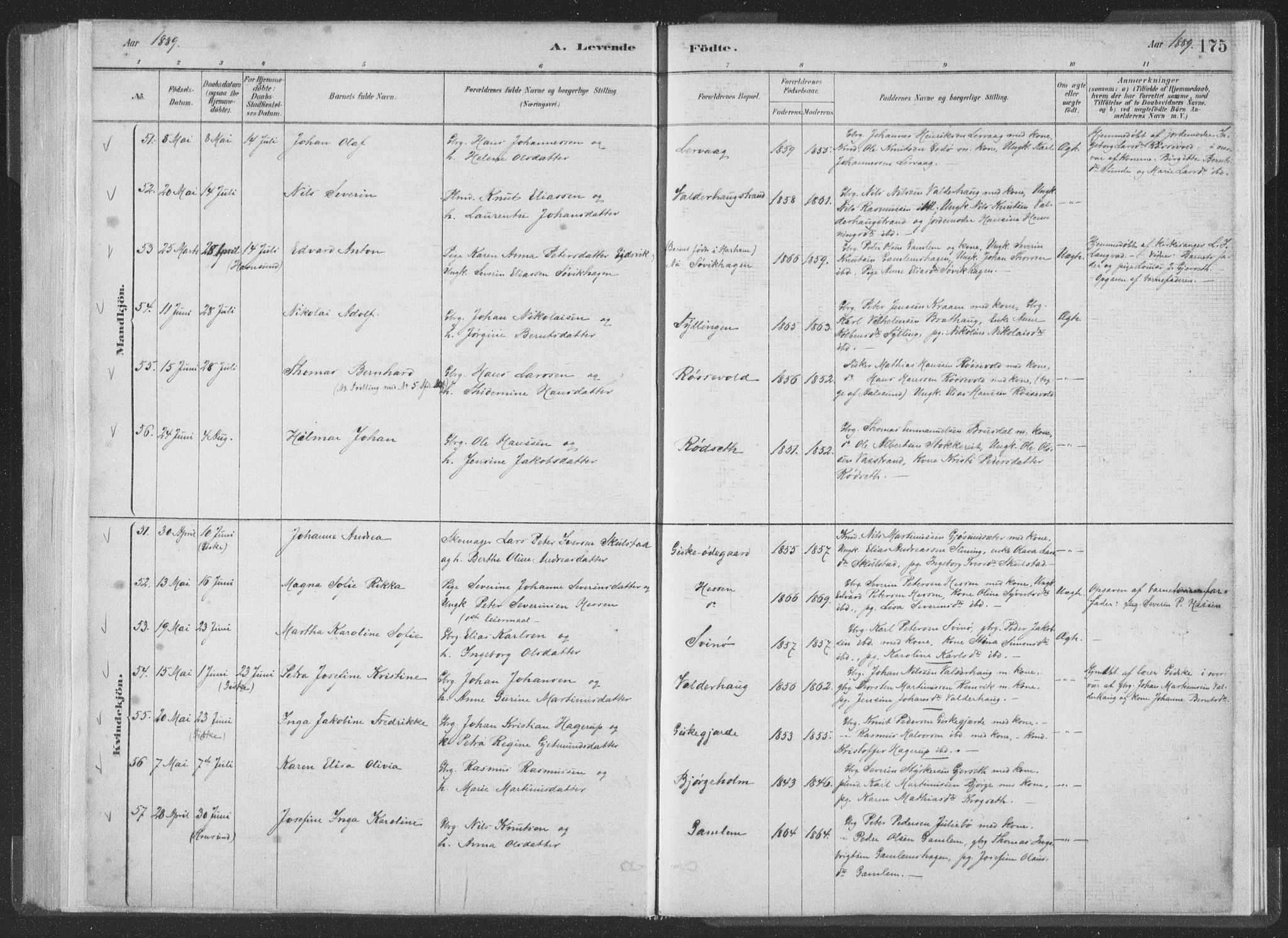 Ministerialprotokoller, klokkerbøker og fødselsregistre - Møre og Romsdal, AV/SAT-A-1454/528/L0401: Parish register (official) no. 528A12I, 1880-1920, p. 175