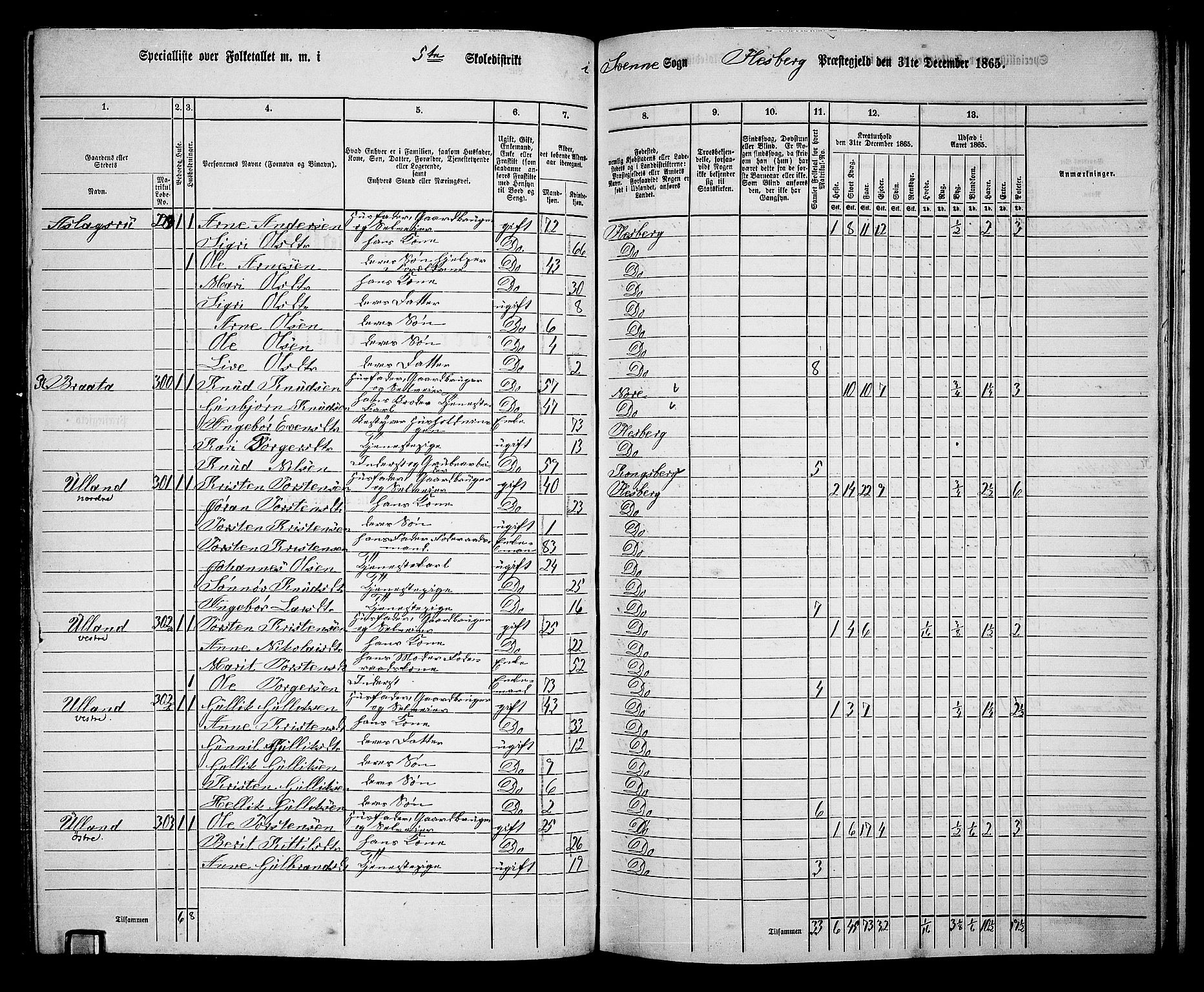 RA, 1865 census for Flesberg, 1865, p. 91