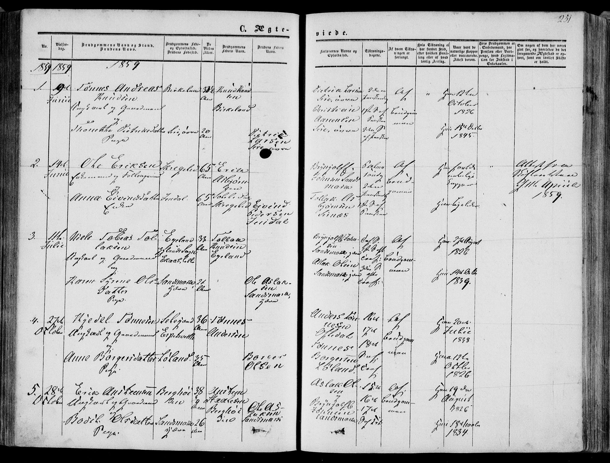 Bakke sokneprestkontor, SAK/1111-0002/F/Fa/Faa/L0006: Parish register (official) no. A 6, 1855-1877, p. 251