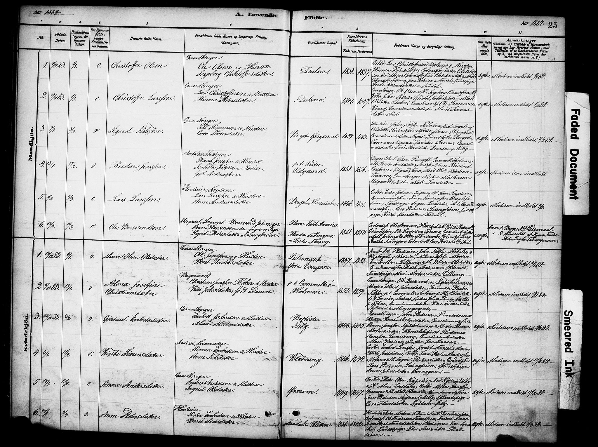 Tynset prestekontor, SAH/PREST-058/H/Ha/Hab/L0006: Parish register (copy) no. 6, 1880-1899, p. 25