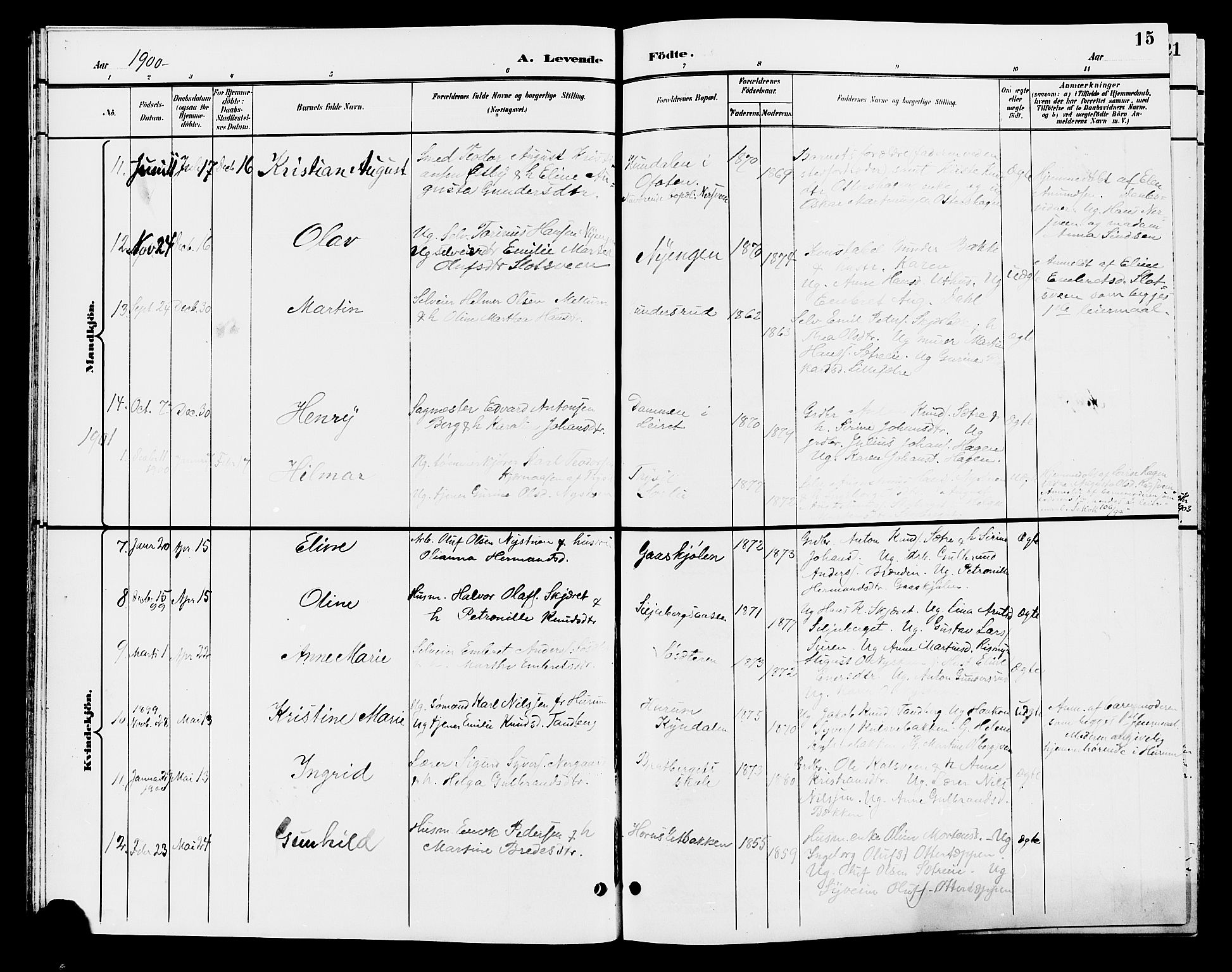 Elverum prestekontor, AV/SAH-PREST-044/H/Ha/Hab/L0006: Parish register (copy) no. 6, 1896-1907, p. 15