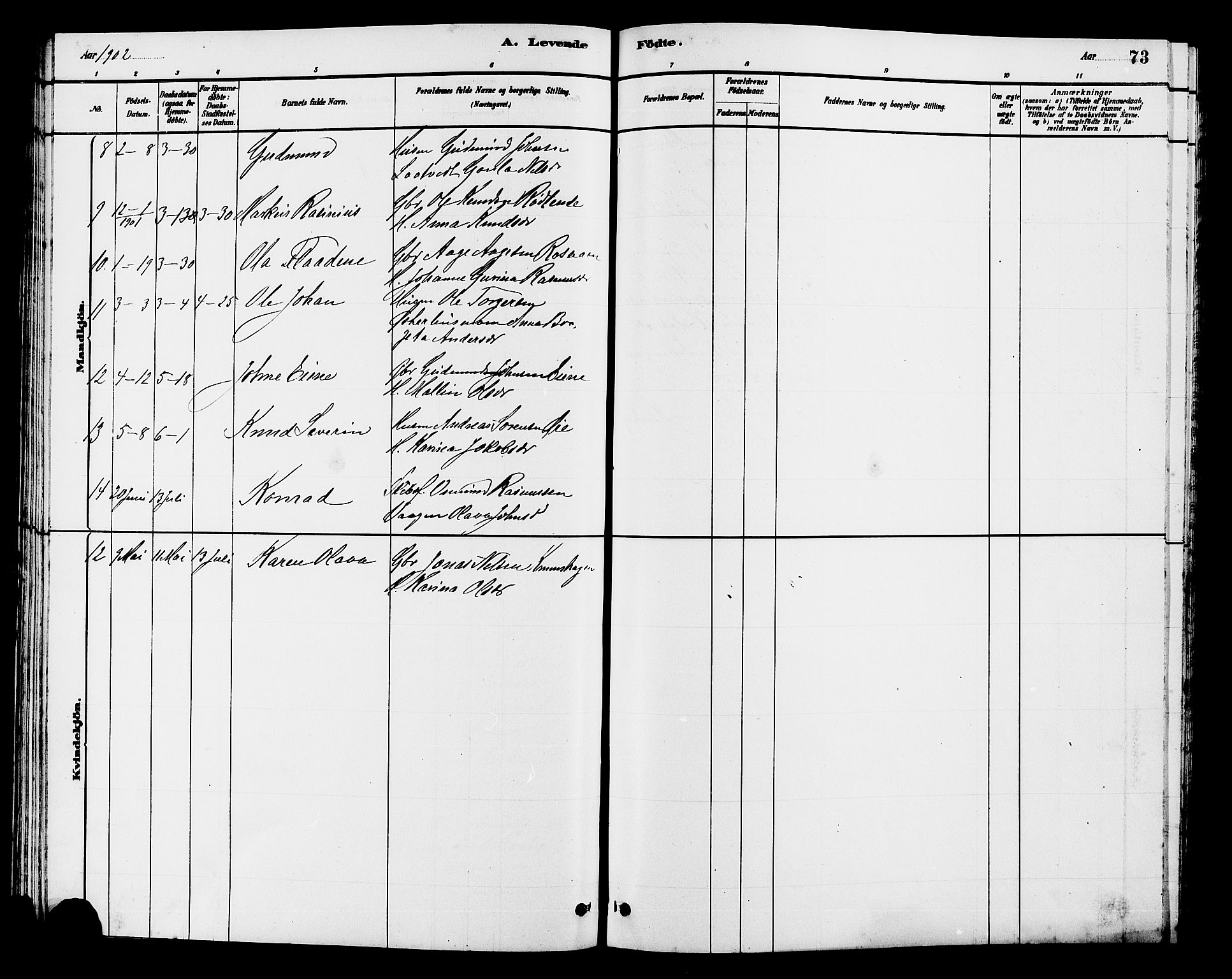 Hjelmeland sokneprestkontor, AV/SAST-A-101843/01/V/L0007: Parish register (copy) no. B 7, 1880-1909, p. 73