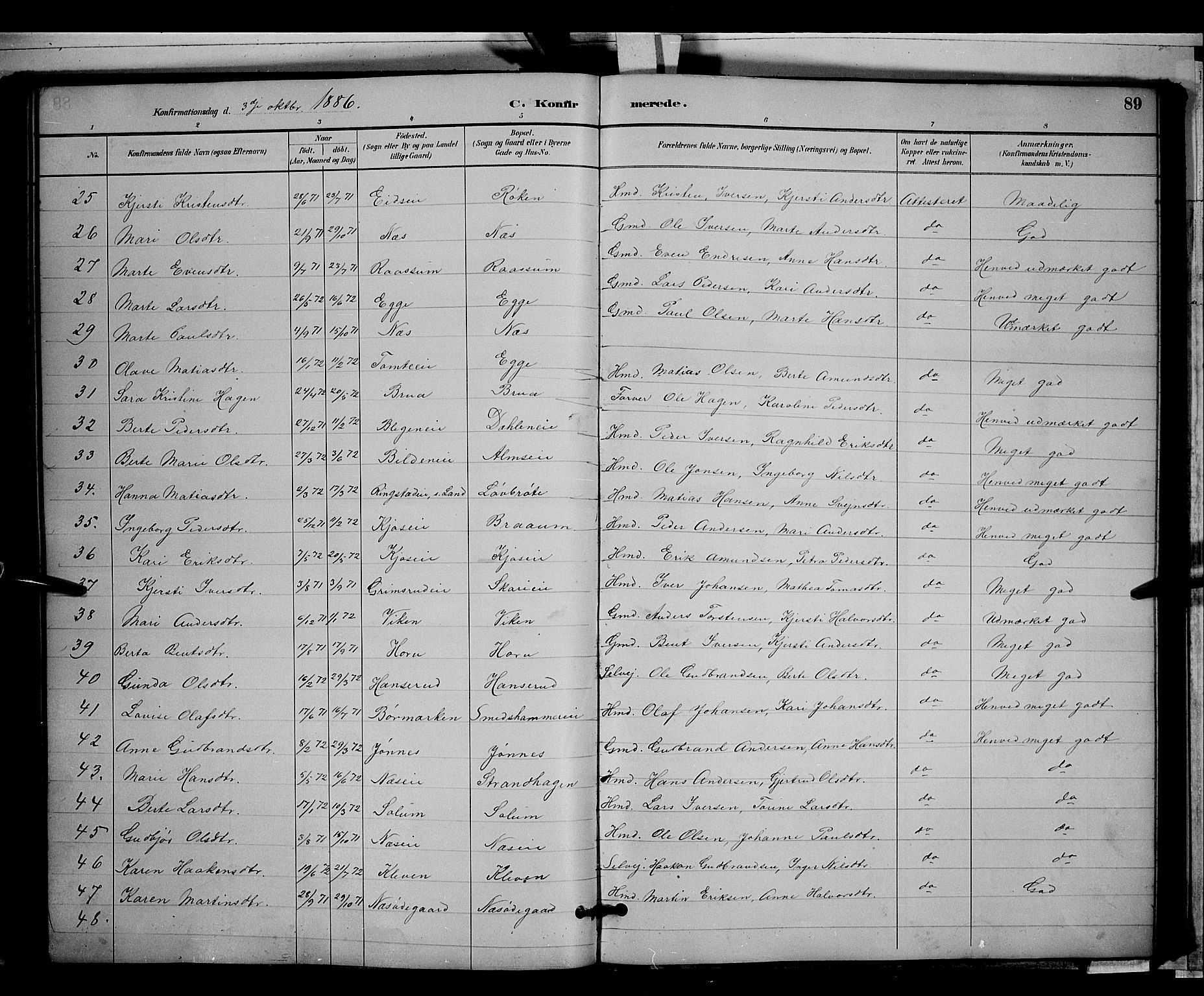 Gran prestekontor, SAH/PREST-112/H/Ha/Hab/L0003: Parish register (copy) no. 3, 1882-1890, p. 89