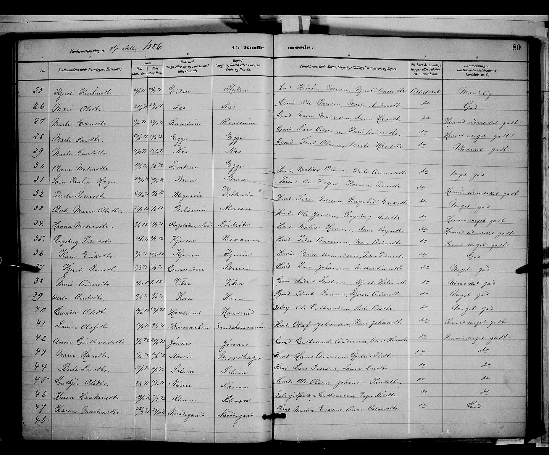 Gran prestekontor, AV/SAH-PREST-112/H/Ha/Hab/L0003: Parish register (copy) no. 3, 1882-1890, p. 89