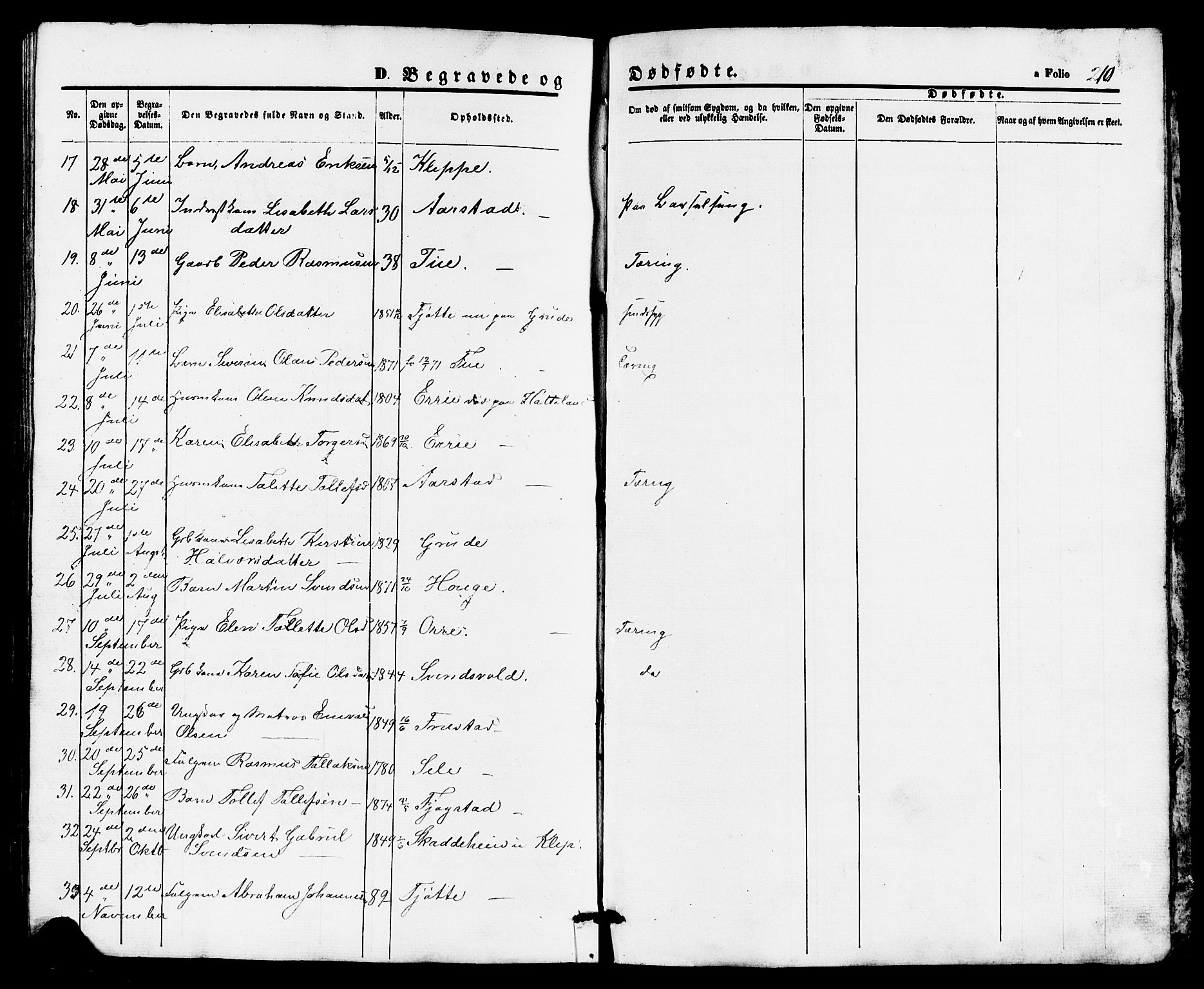 Klepp sokneprestkontor, AV/SAST-A-101803/001/3/30BB/L0002: Parish register (copy) no. B 2, 1860-1875, p. 210