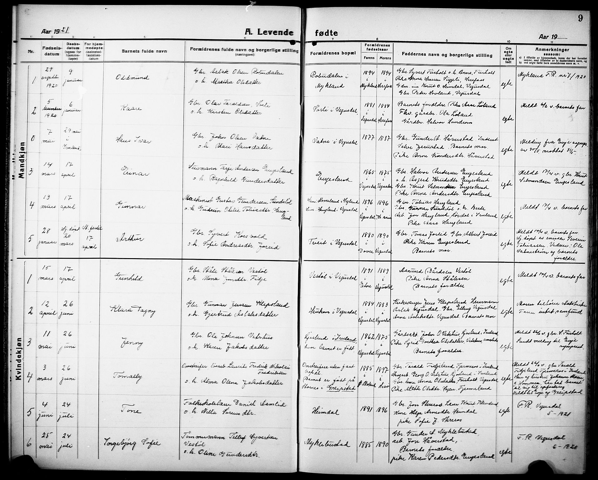 Herefoss sokneprestkontor, SAK/1111-0019/F/Fb/Fbb/L0004: Parish register (copy) no. B 4, 1917-1933, p. 9