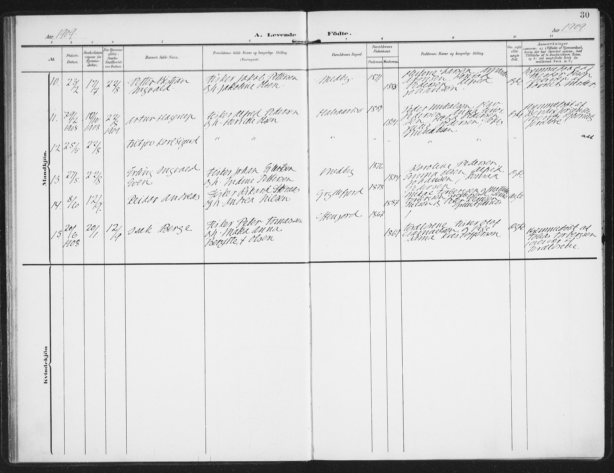 Berg sokneprestkontor, AV/SATØ-S-1318/G/Ga/Gaa/L0008kirke: Parish register (official) no. 8, 1904-1916, p. 30