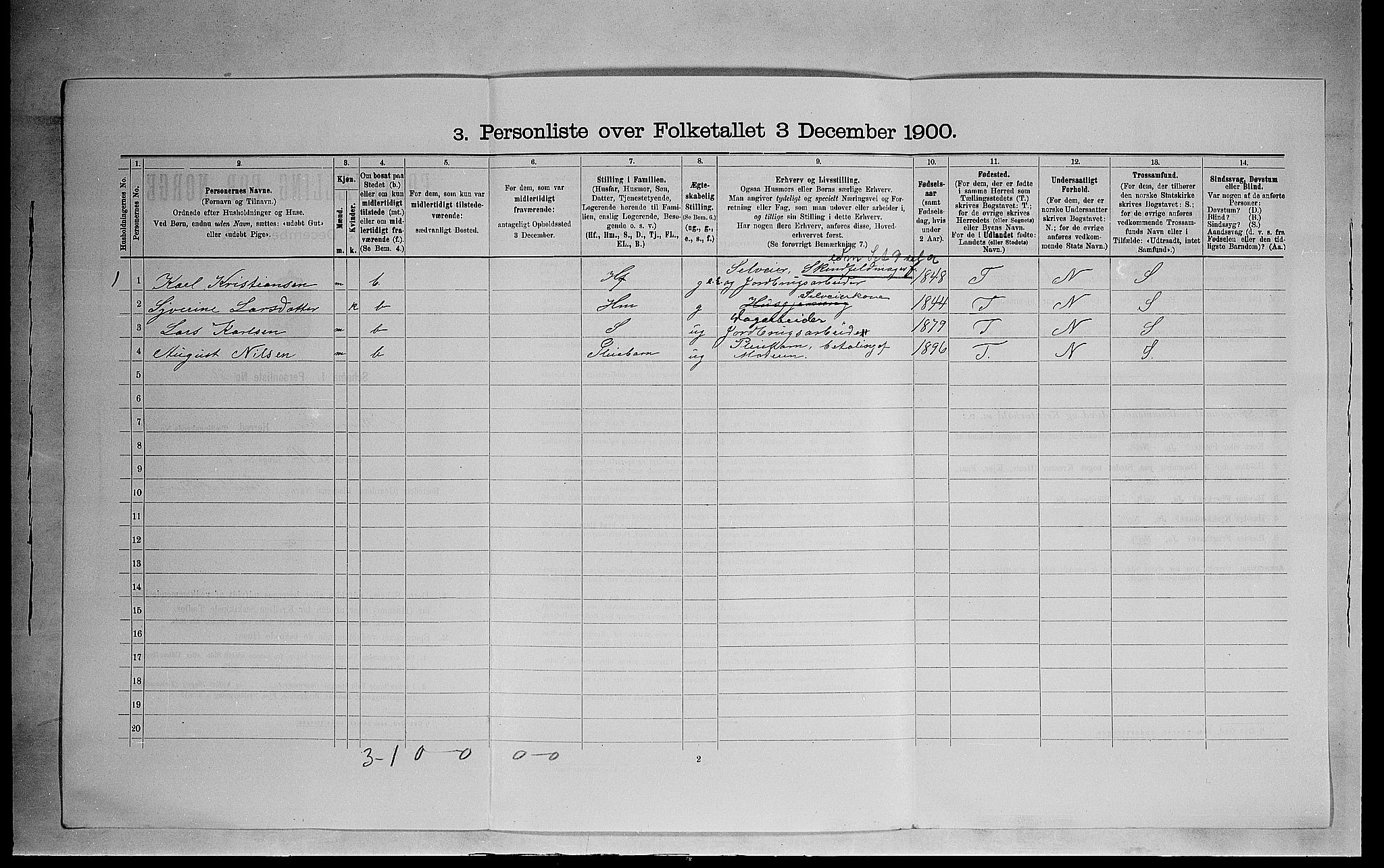 SAH, 1900 census for Ringsaker, 1900, p. 1014