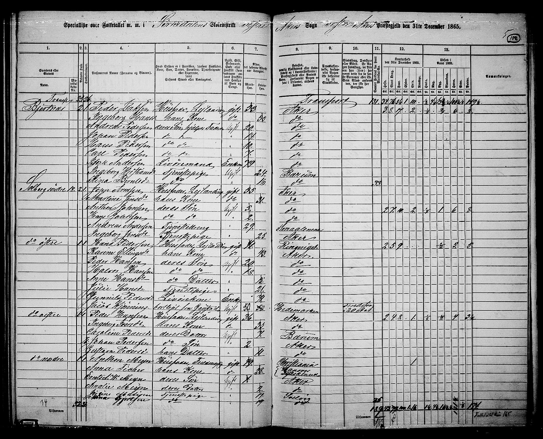 RA, 1865 census for Vestre Aker, 1865, p. 95