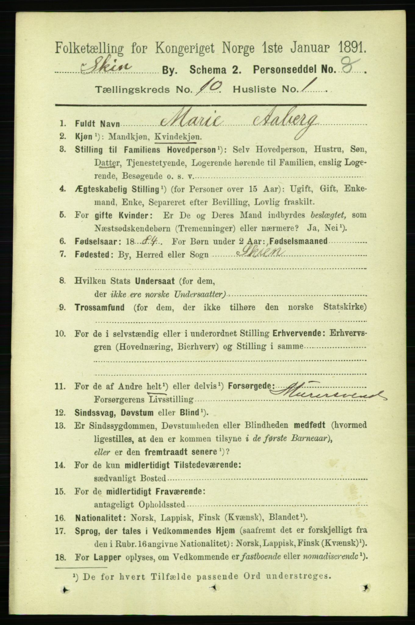 RA, 1891 census for 0806 Skien, 1891, p. 3587
