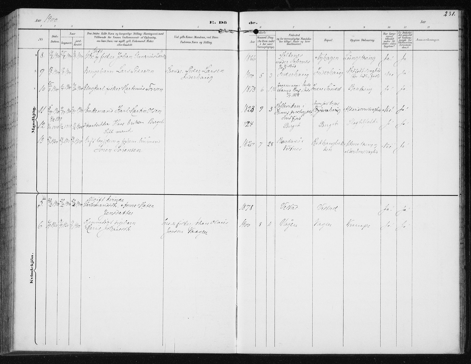 Ministerialprotokoller, klokkerbøker og fødselsregistre - Møre og Romsdal, AV/SAT-A-1454/566/L0773: Parish register (copy) no. 566C02, 1892-1909, p. 231