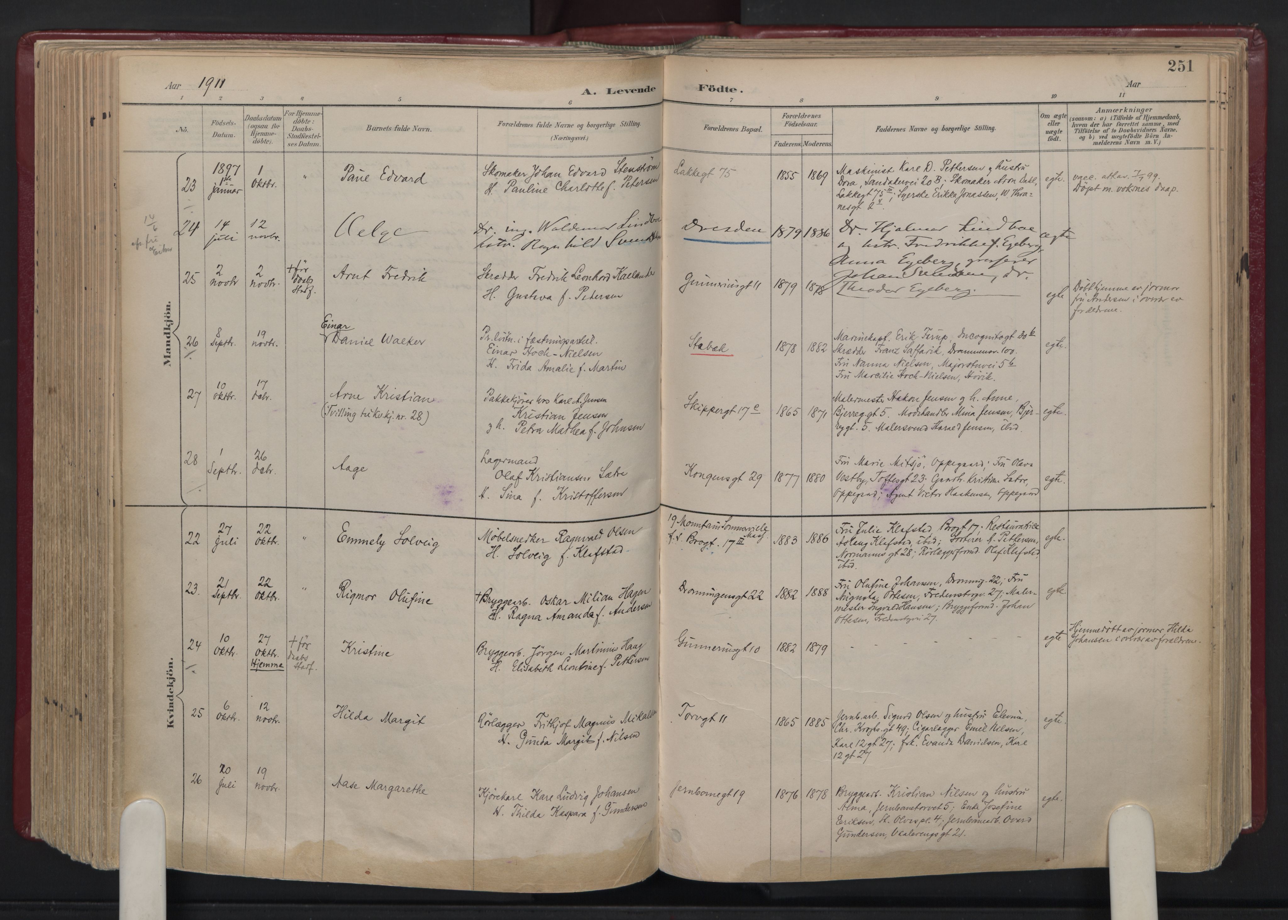 Oslo domkirke Kirkebøker, AV/SAO-A-10752/F/Fa/L0039: Parish register (official) no. 39, 1893-1932, p. 251