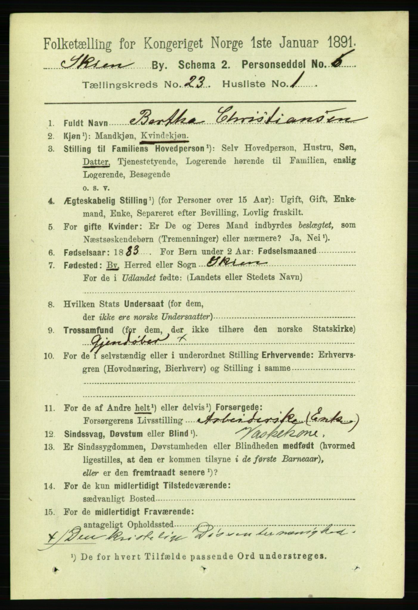 RA, 1891 census for 0806 Skien, 1891, p. 5820