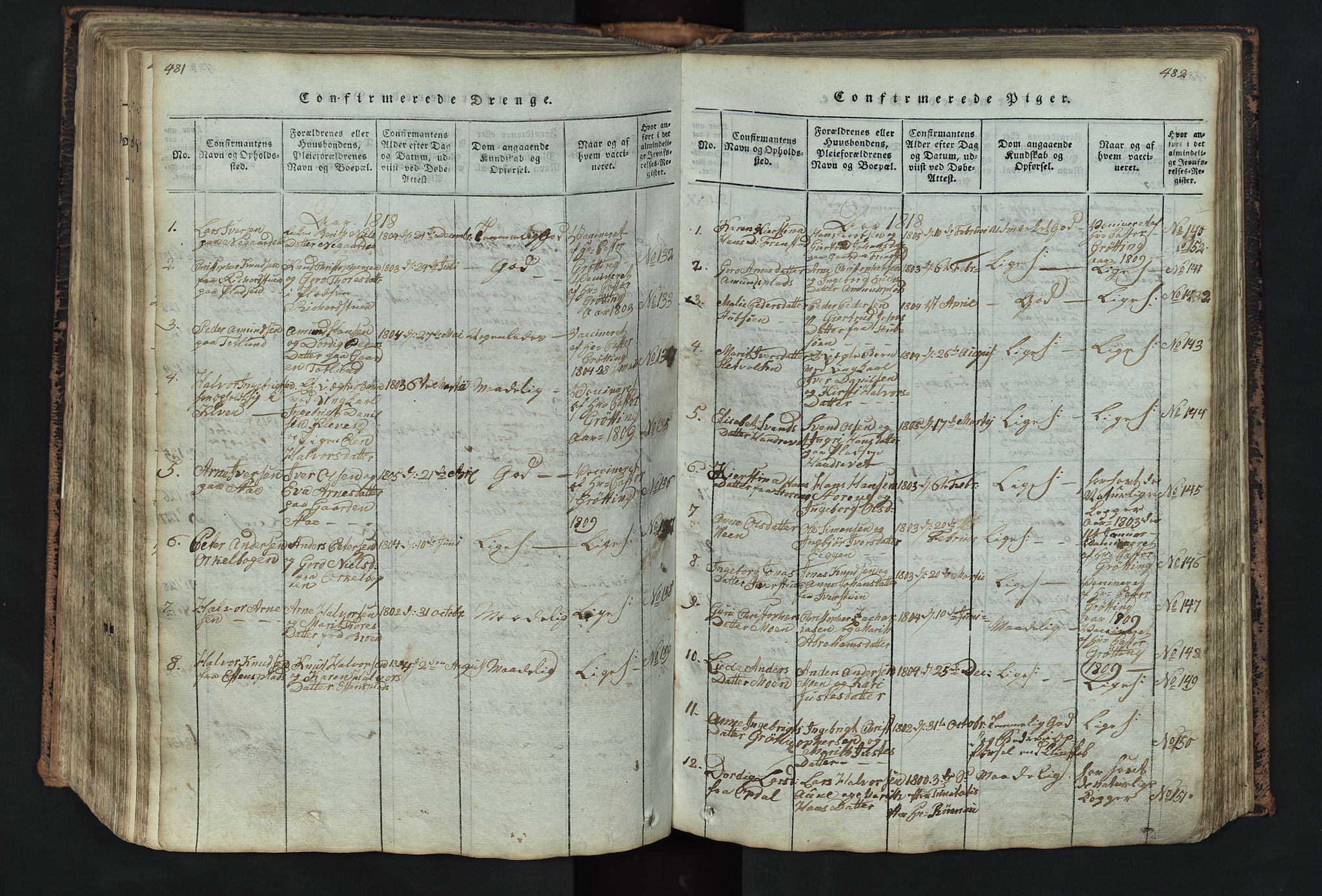 Kvikne prestekontor, SAH/PREST-064/H/Ha/Hab/L0001: Parish register (copy) no. 1, 1815-1895, p. 481-482