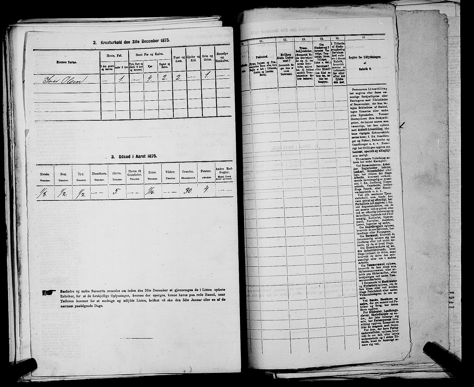 RA, 1875 census for 0120P Rødenes, 1875, p. 501