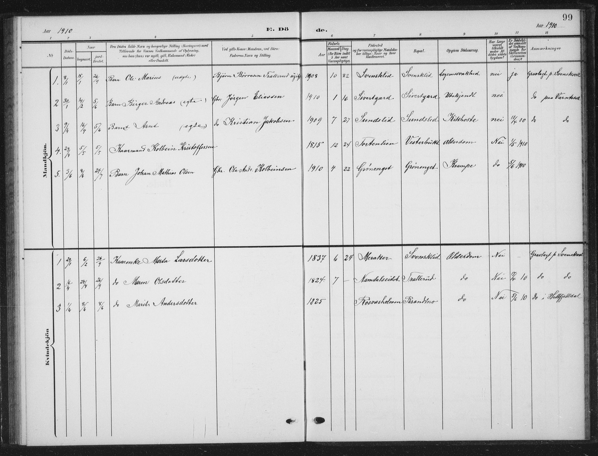 Ministerialprotokoller, klokkerbøker og fødselsregistre - Nordland, AV/SAT-A-1459/823/L0331: Parish register (copy) no. 823C03, 1905-1934, p. 99