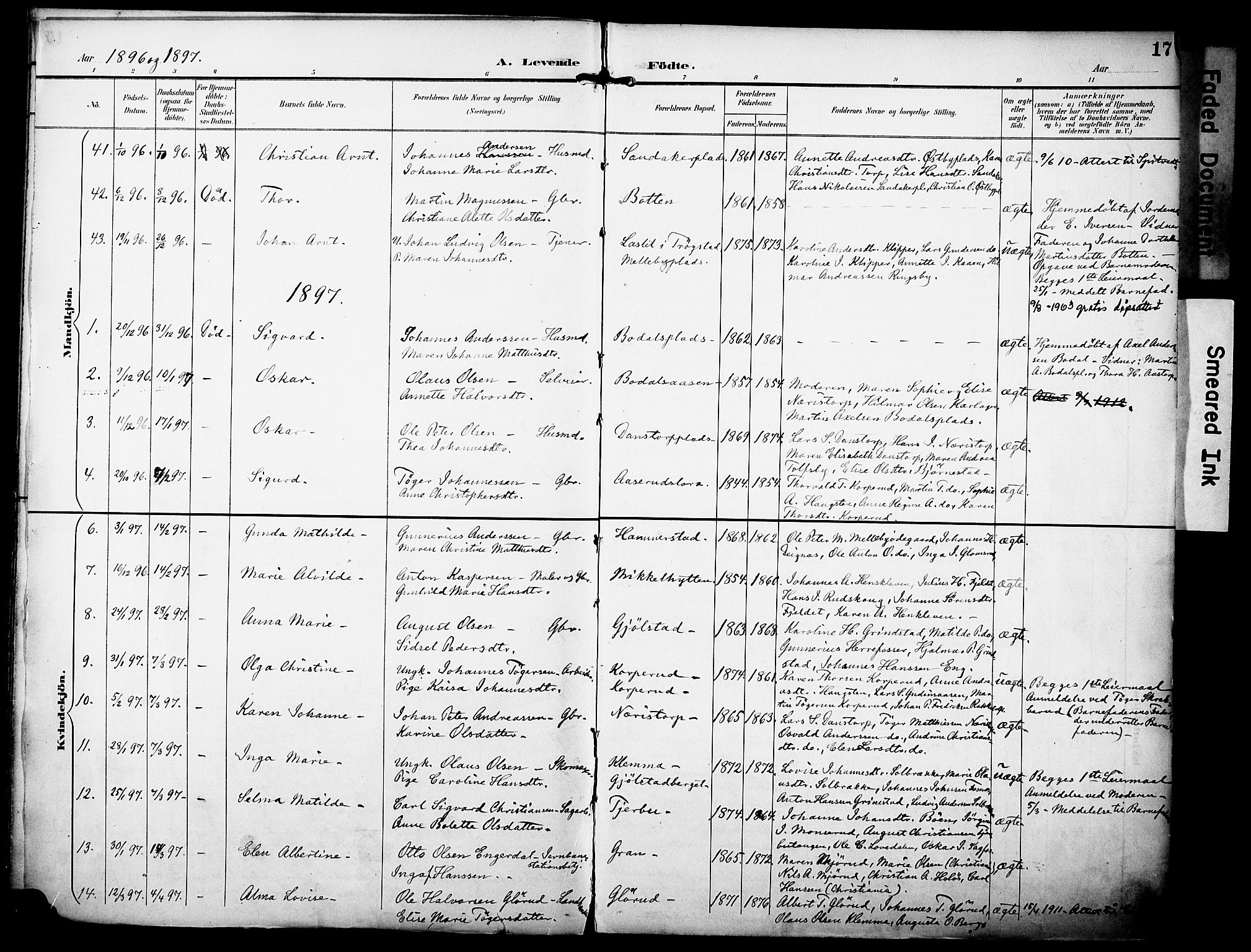 Rakkestad prestekontor Kirkebøker, AV/SAO-A-2008/F/Fa/L0013: Parish register (official) no. I 13, 1894-1908, p. 17