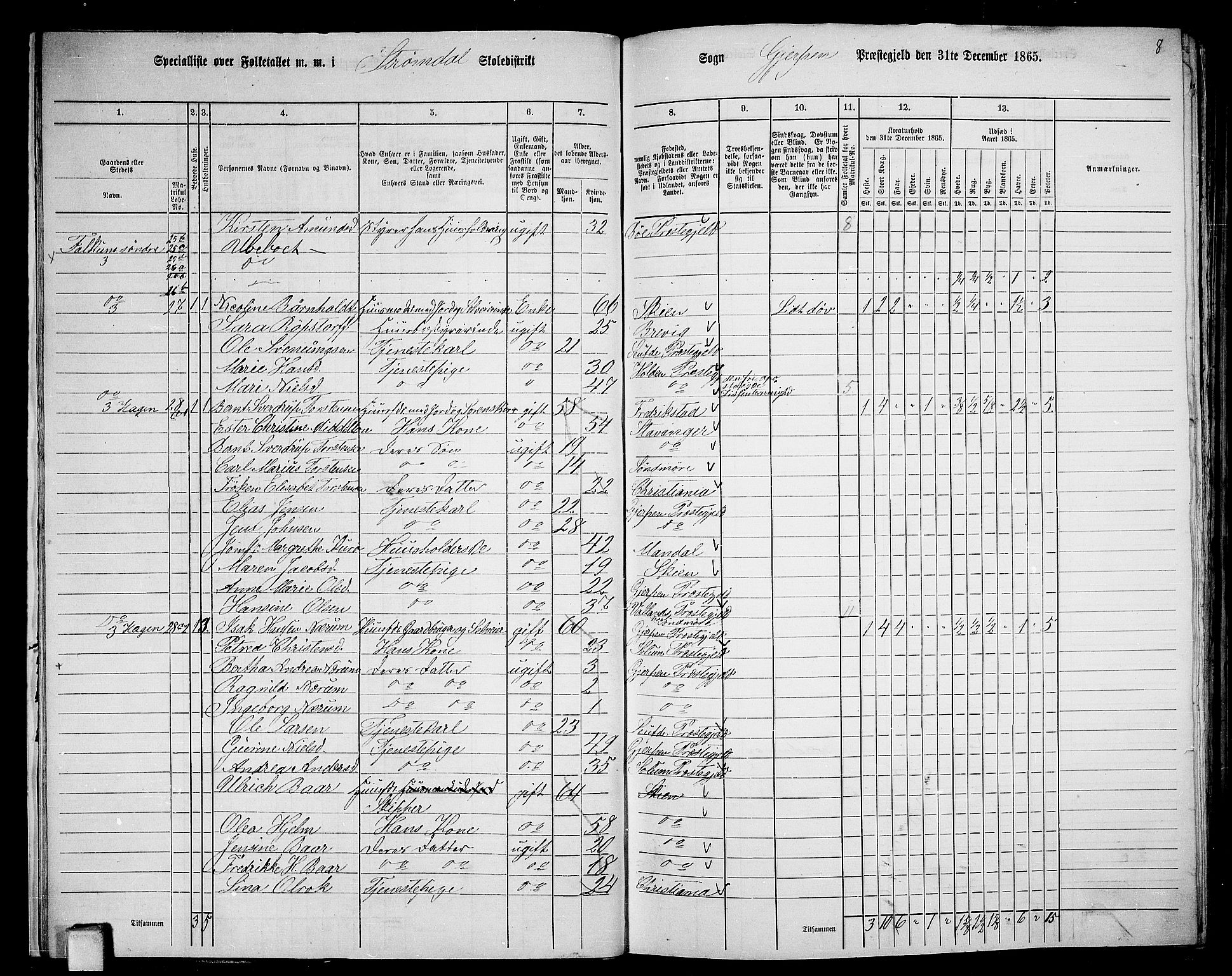 RA, 1865 census for Gjerpen, 1865, p. 24