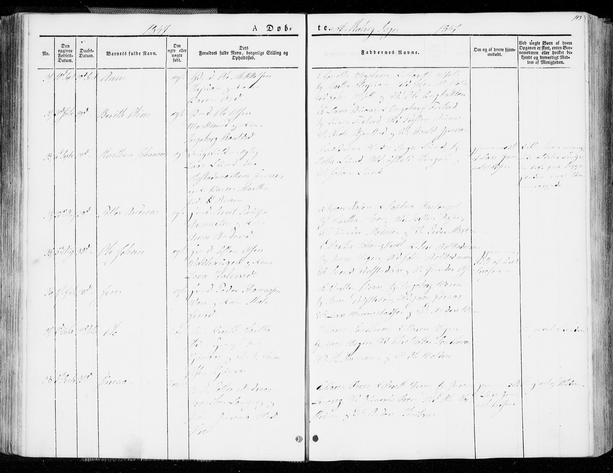 Ministerialprotokoller, klokkerbøker og fødselsregistre - Sør-Trøndelag, AV/SAT-A-1456/606/L0290: Parish register (official) no. 606A05, 1841-1847, p. 113