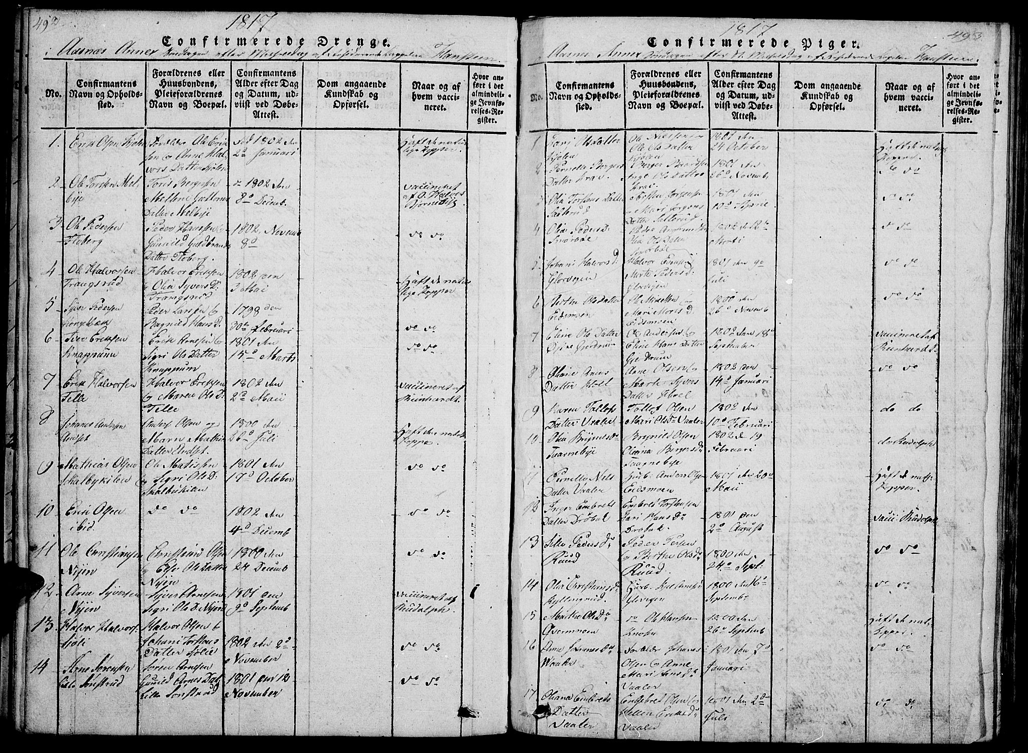 Hof prestekontor, AV/SAH-PREST-038/H/Ha/Haa/L0005: Parish register (official) no. 5, 1816-1822, p. 492-493